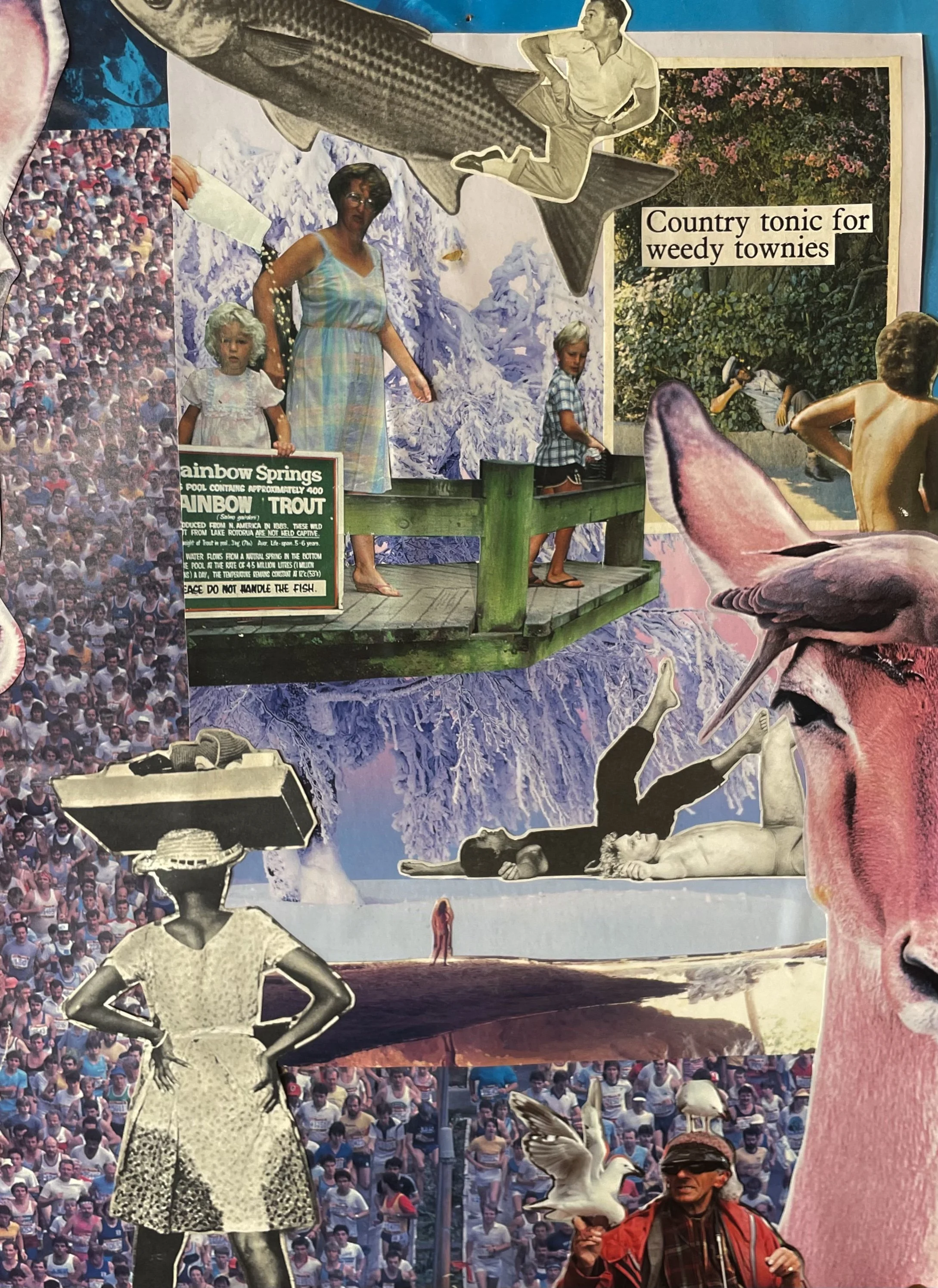 collage .jpg