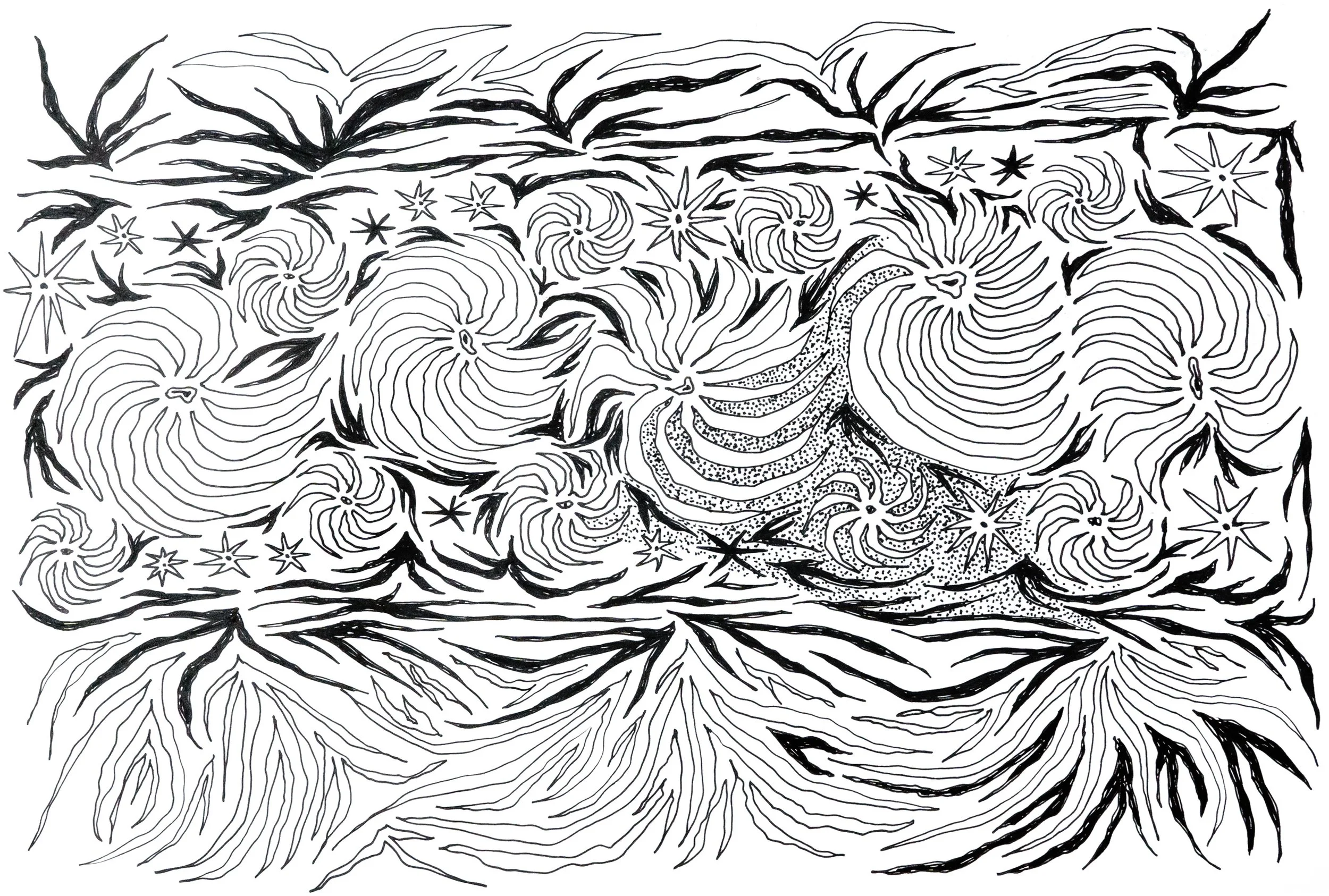 PRINTS AVAILABLE