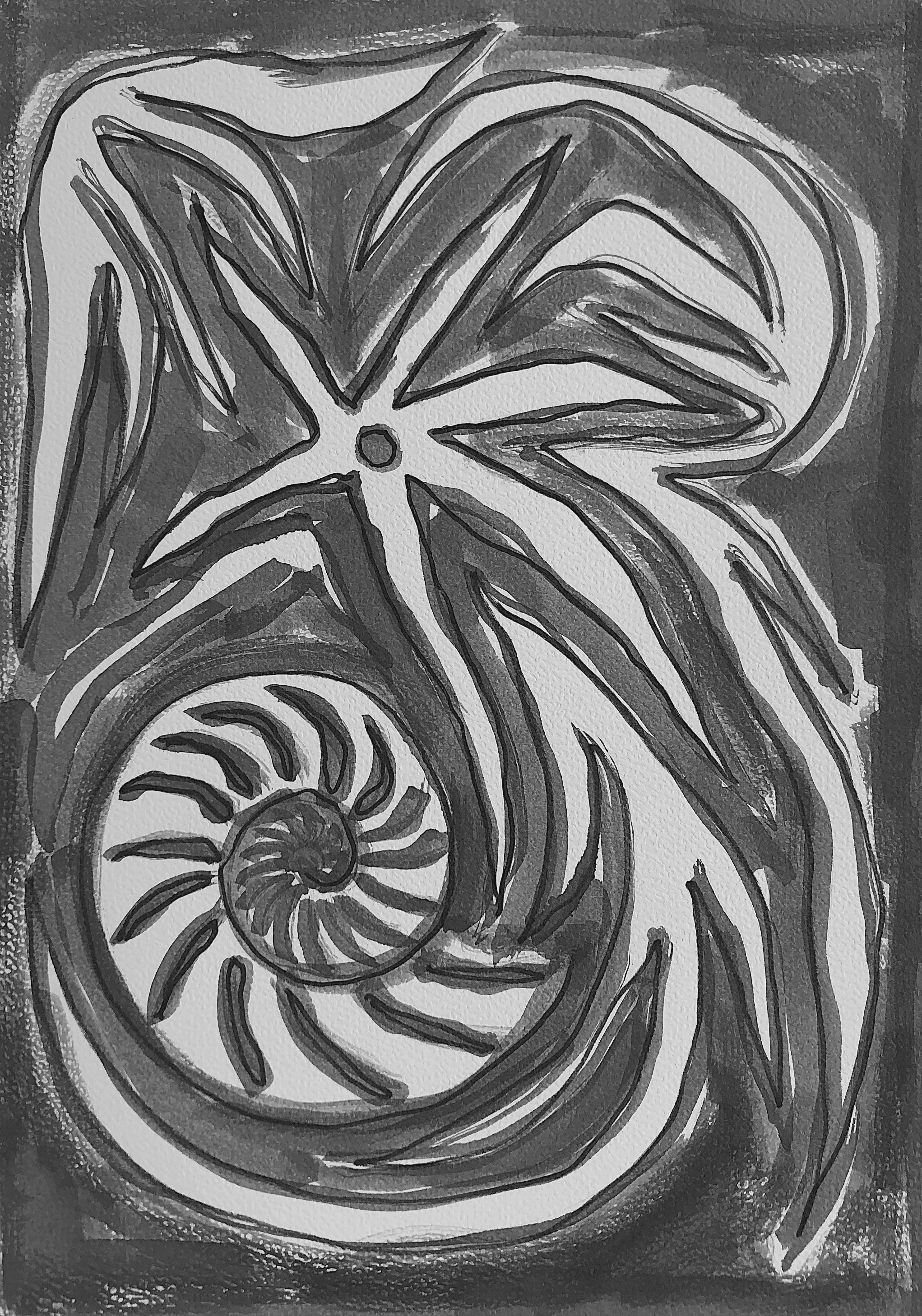 Abstract black and white drawing of a nautilus shell and a starfish.