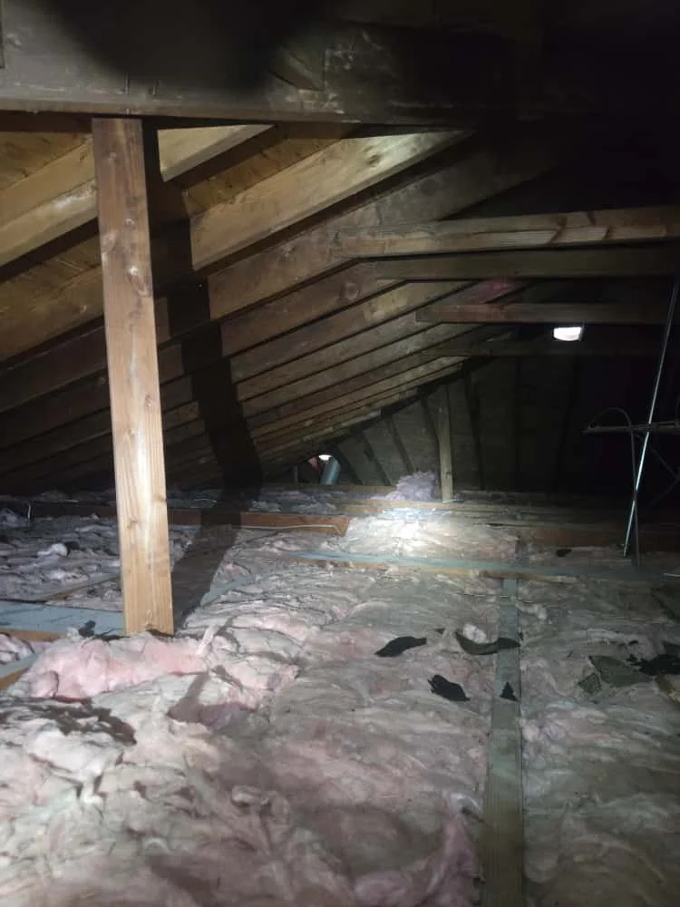 WhatsApp Image 2025-10-11 at 13.01.10 (1).jpeg