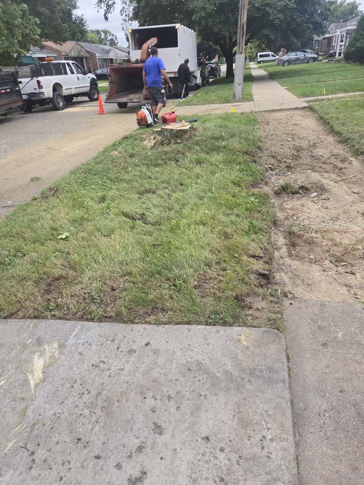 WhatsApp Image 2025-10-19 at 10.31.26 (2).jpeg