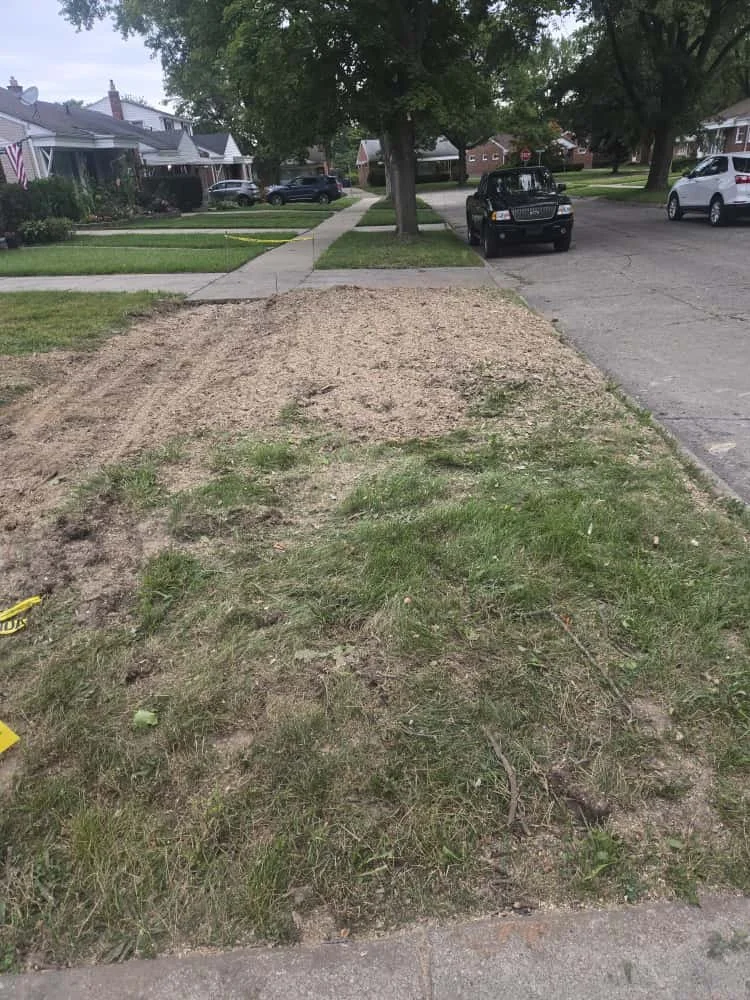 WhatsApp Image 2025-10-19 at 10.31.26.jpeg