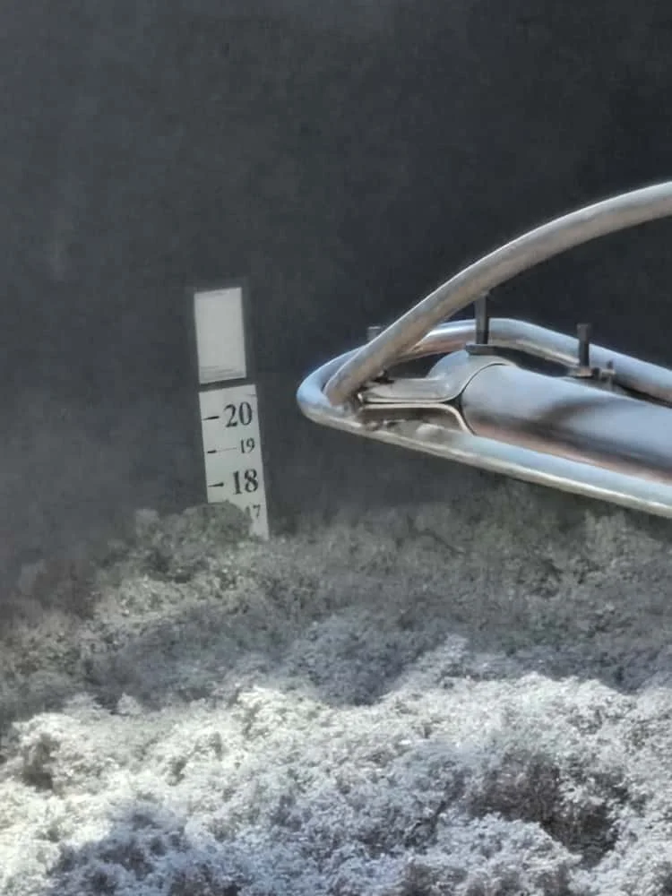 WhatsApp Image 2025-10-11 at 13.05.55.jpeg