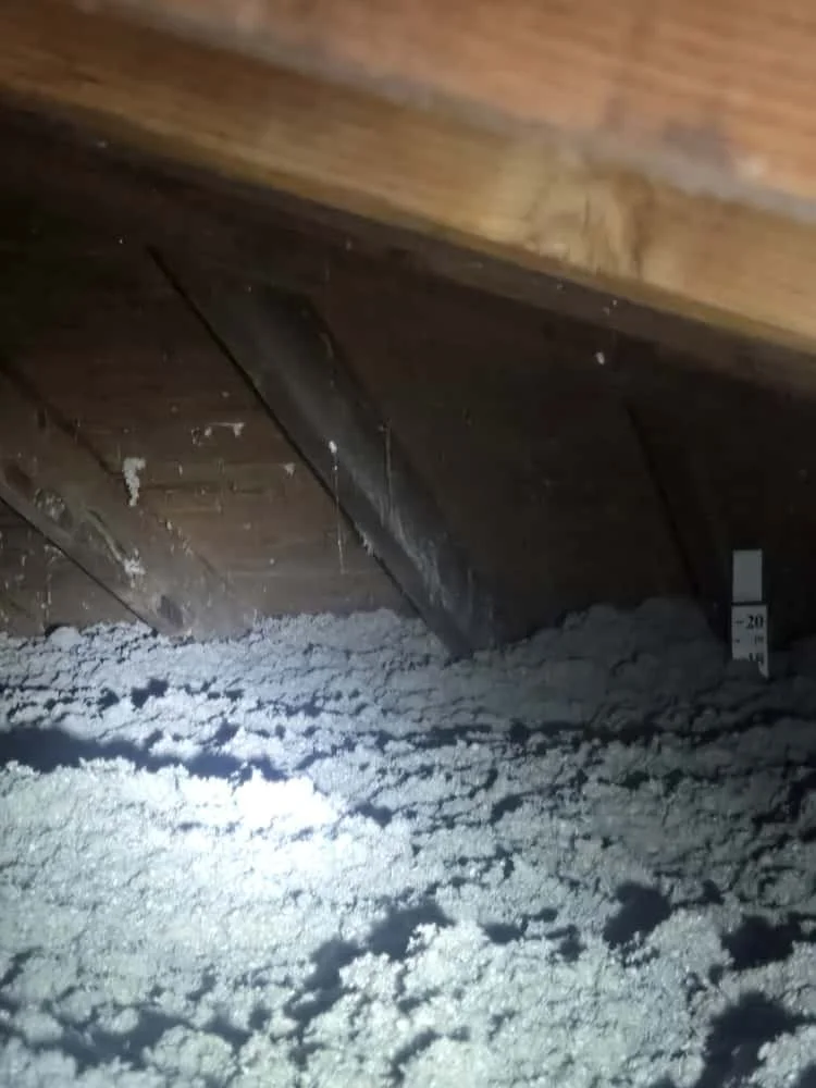 WhatsApp Image 2025-10-12 at 09.06.47 (1).jpeg