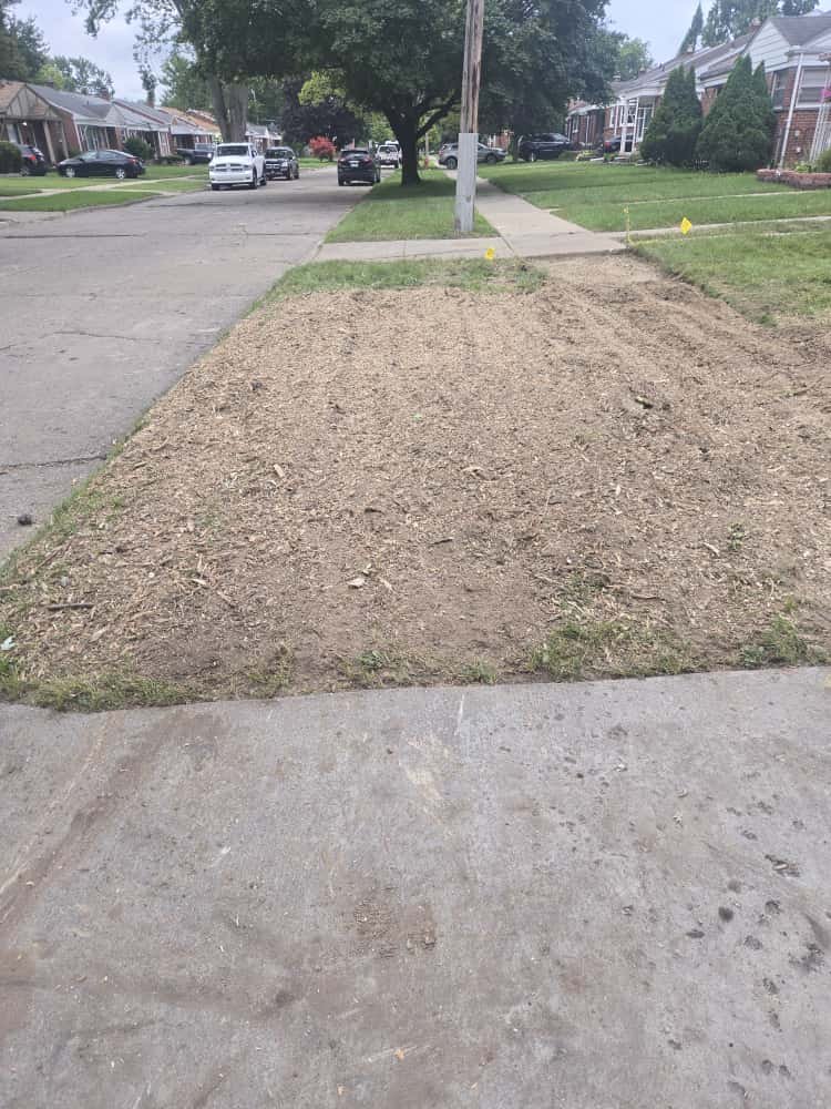 WhatsApp Image 2025-10-19 at 10.31.26 (1).jpeg