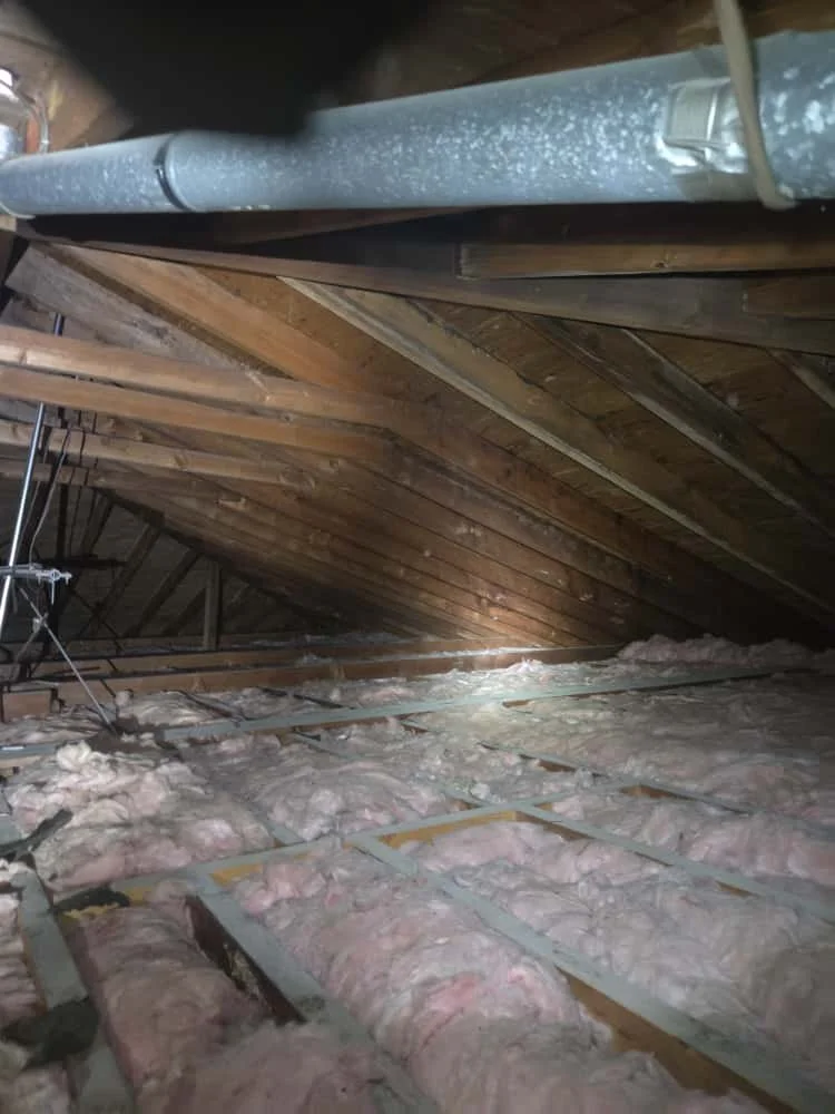 WhatsApp Image 2025-10-11 at 13.01.10.jpeg