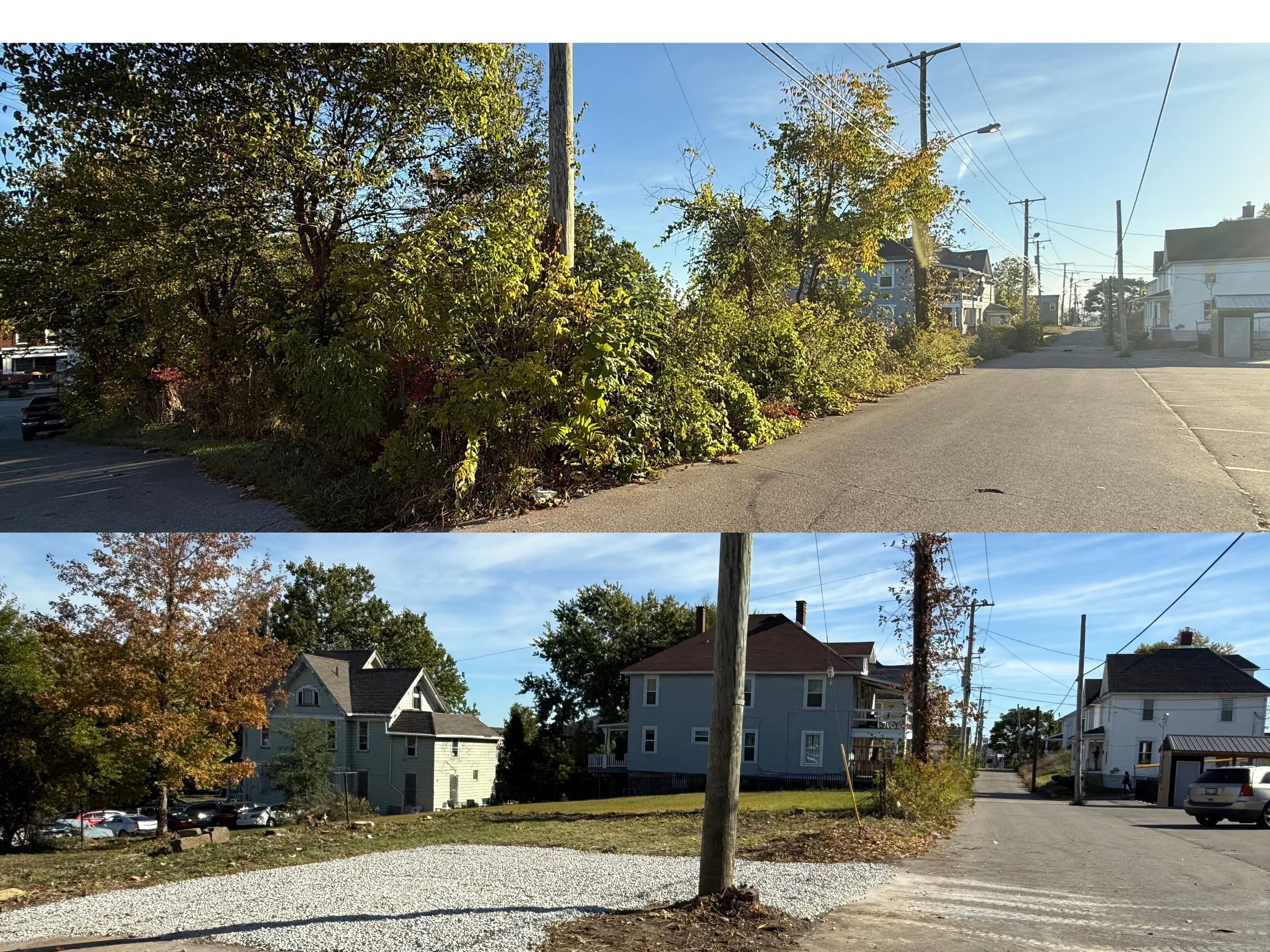 Untitled design (4).jpg