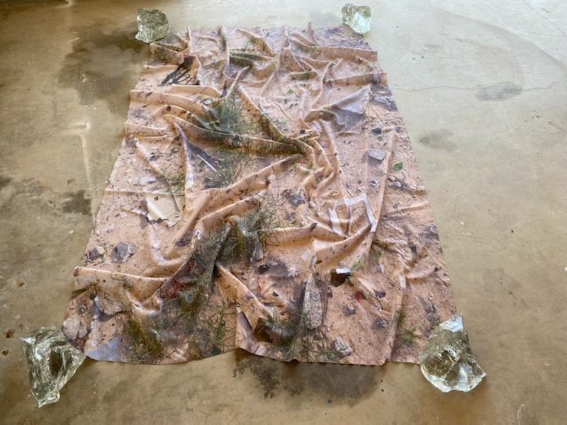 Adrienne Adar's Textile Floor Digital Image and Glass piece.
