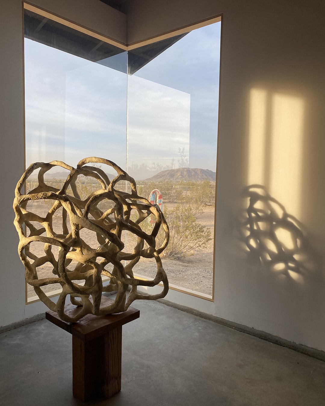 Laura Cooper's Paper and wood Sculpture