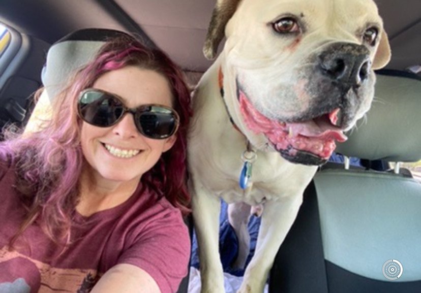 Woman with purple hair and sunglasses taking a selfie with a large, happy pit bull in the backseat of a car.