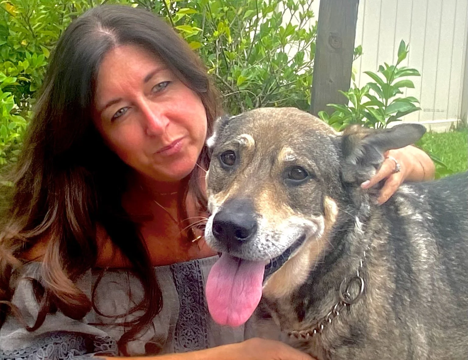 A woman with long brown hair smiling and hugging a large, happy, gray and brown dog with its tongue out outdoors, with green foliage and a wooden fence in the background.