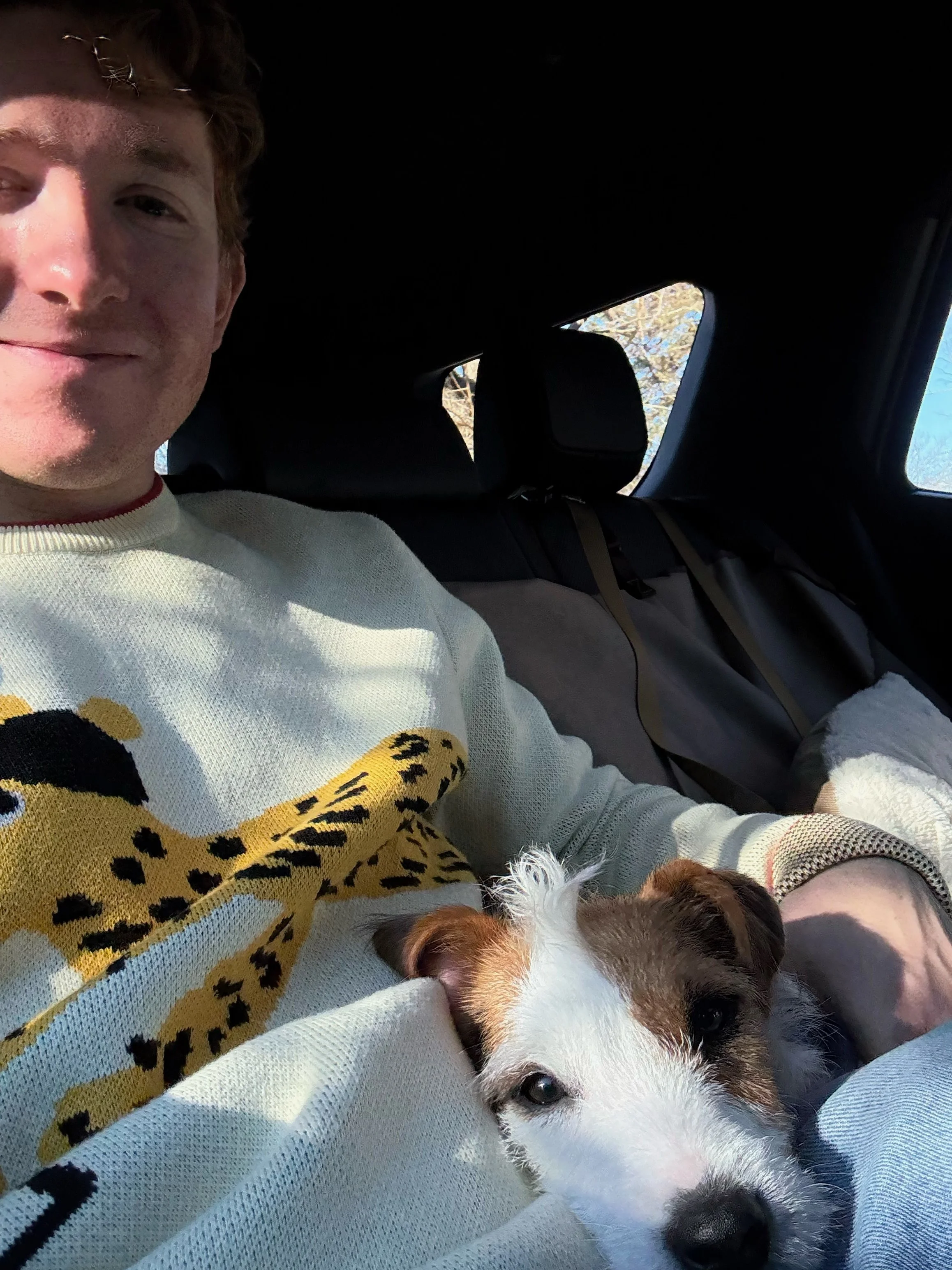 A person wearing a white sweater with a leopard print design, sitting in a car with a small dog resting on their lap, visible through the window with trees outside.