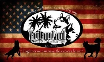 Logo for Van Adam Land with silhouettes of dogs, palm trees, and a wolf, set against a background resembling the American flag, with text 'Together we can make their voices heard'.
