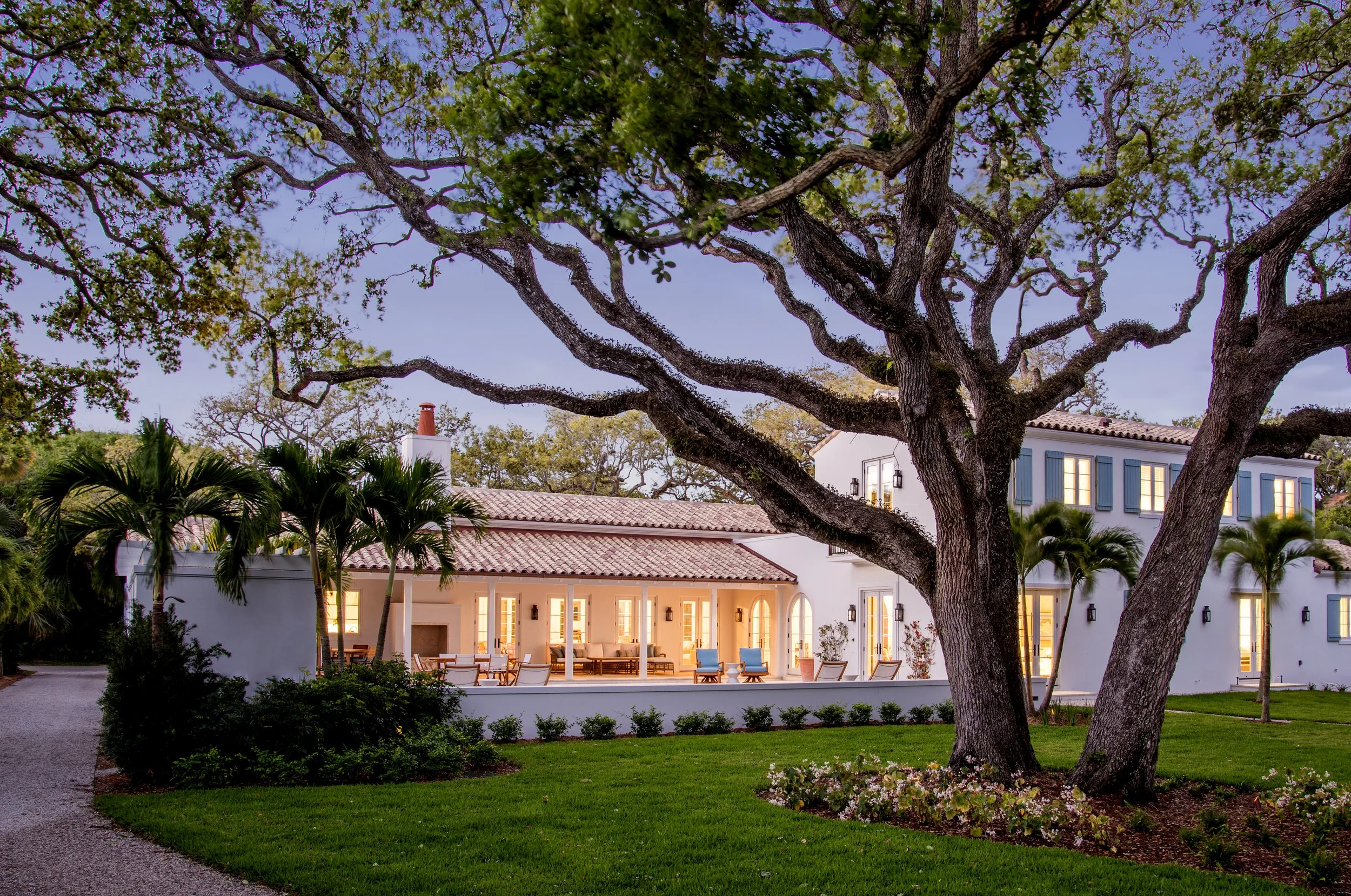 20160323_0357_Back Pre Dawn Full main.jpg