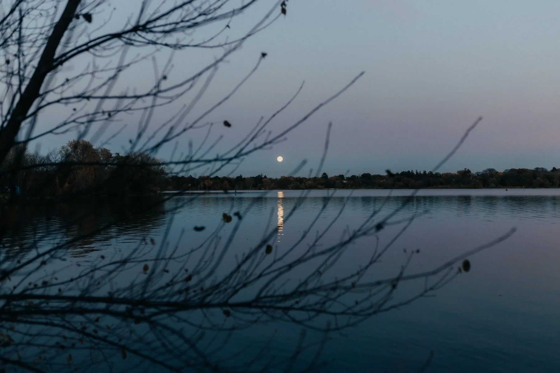 Minneapolis, Minnesota | 2025