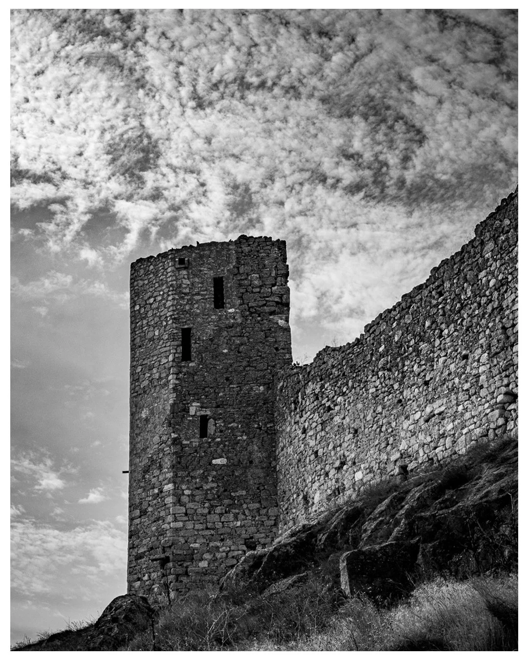 Postcards from Dobrogea - 2025