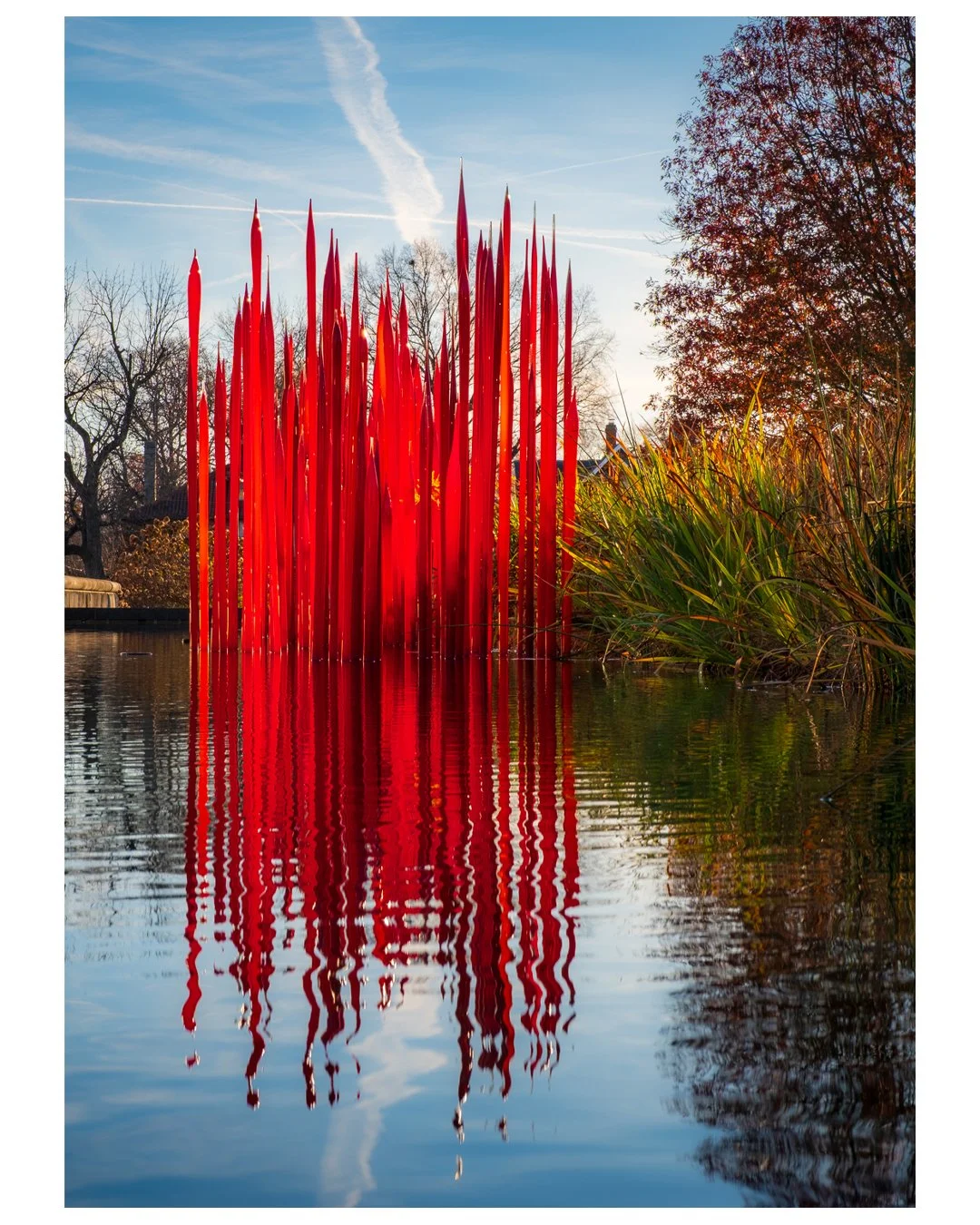 Virginia Museum of Fine Arts - Richmond
1 Dale Chihuli
2 Juame Plensa
3 Ebony Patterson
4 Kwame Brathwaite
5 BMX bike
6 Hank Willis Thomas