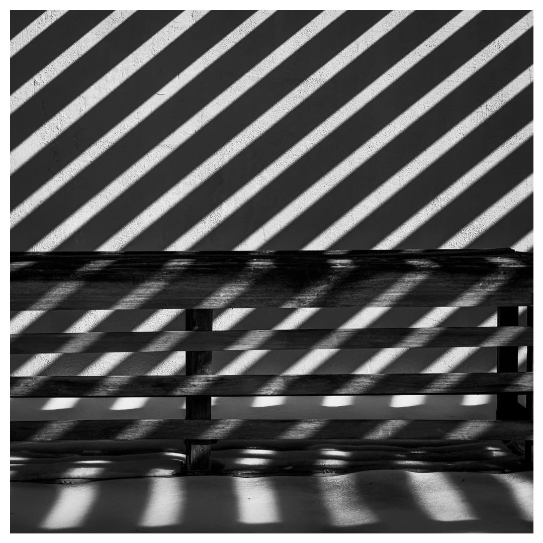 National Arboretum - Washington DC