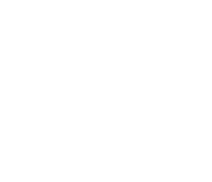 ssa group logo.png