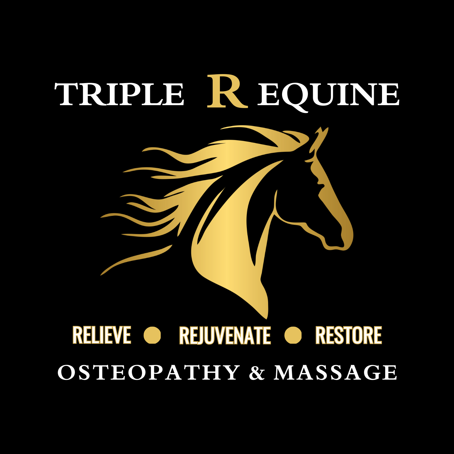 Branding & Design Package