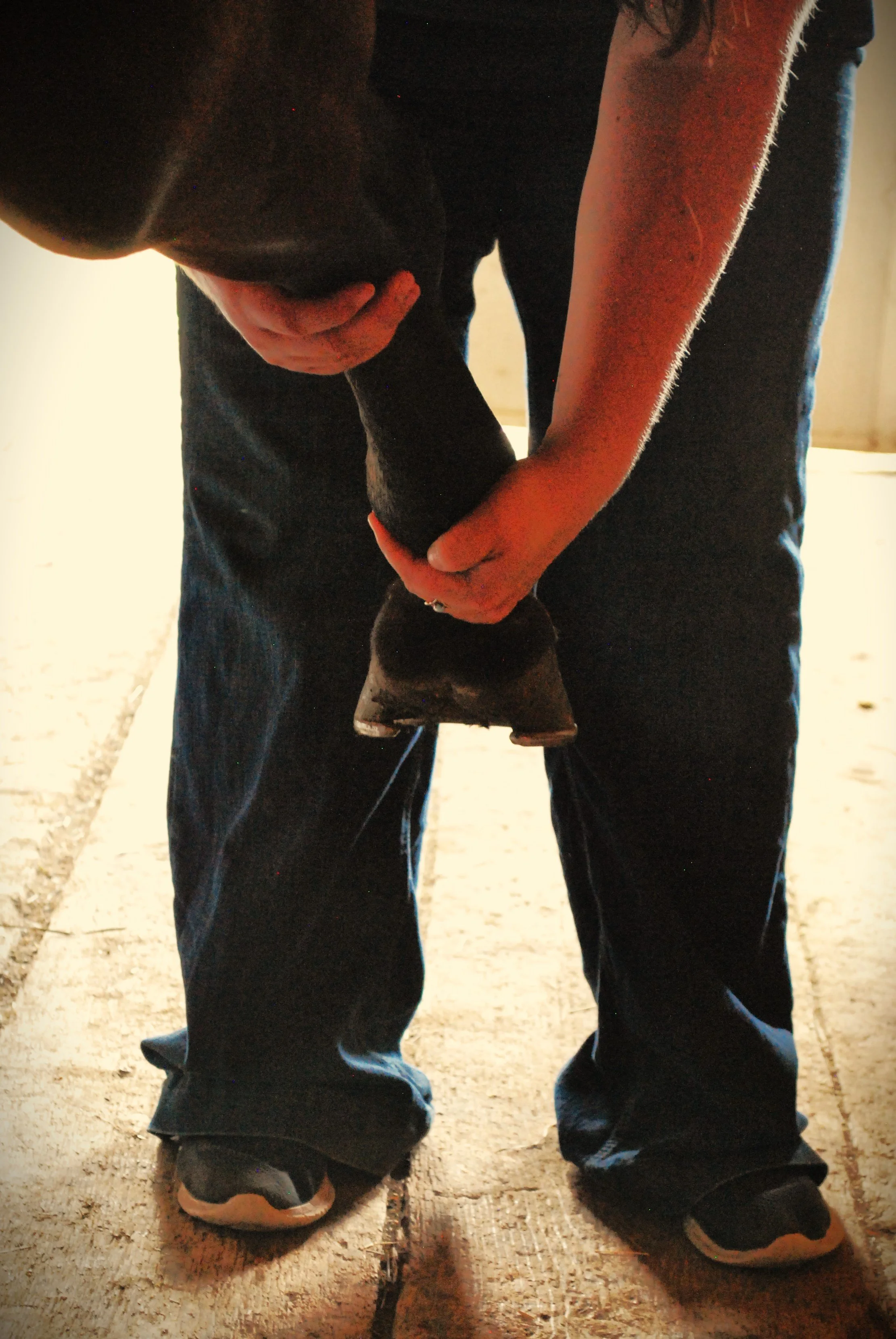 2024-07-04 12.13.04.jpg