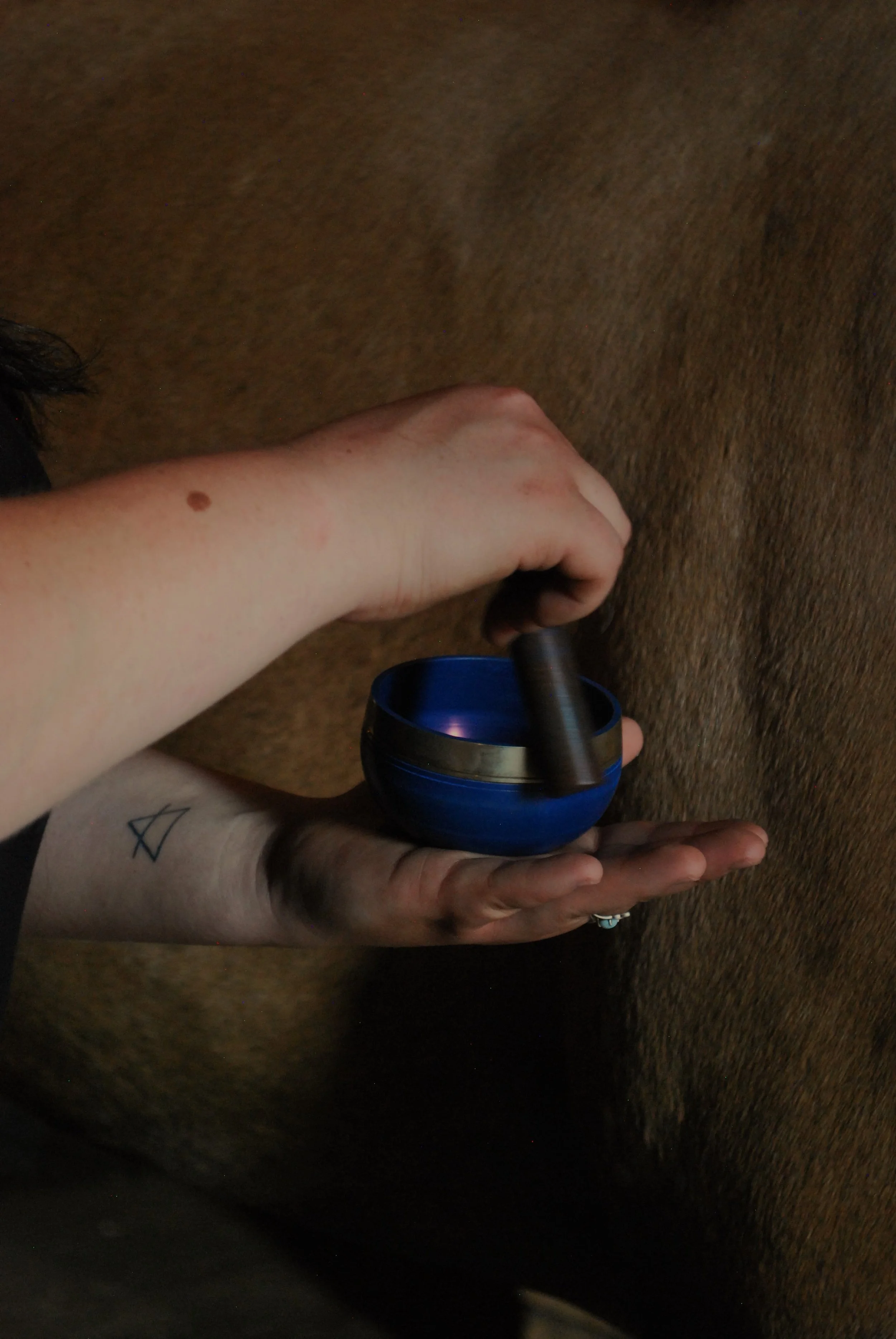 2024-07-04 12.22.19.jpg