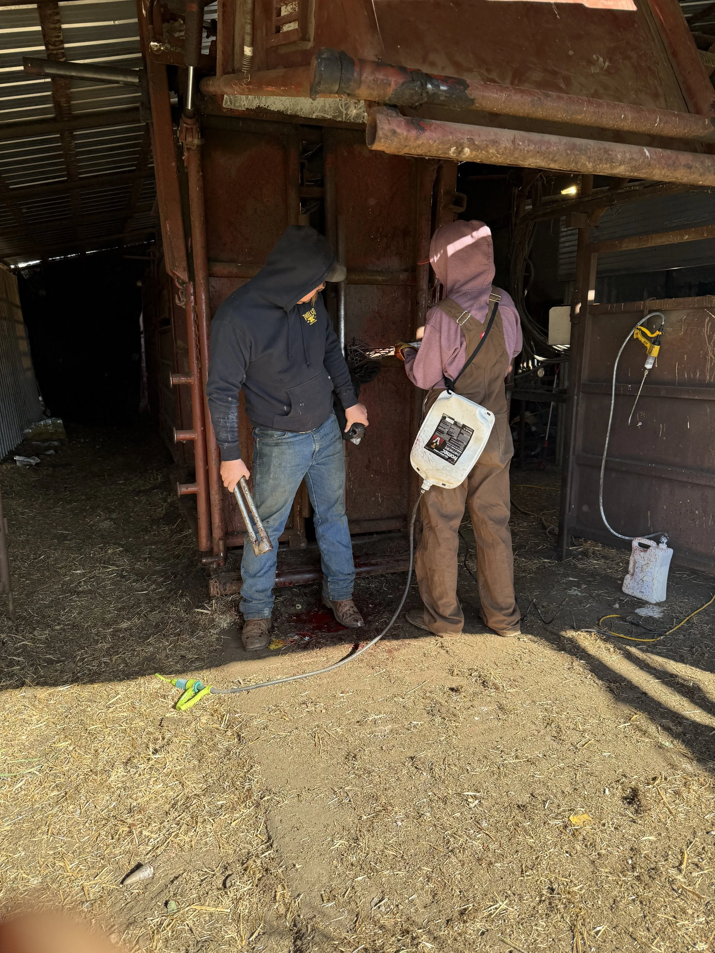 Two people are working with a blowtorch or welding tool in a farm or barn setting. They are wearing hooded sweatshirts and overalls, and one is holding a tool while the other is monitoring the work. There is equipment and tools visible on the wall and floor around them.
