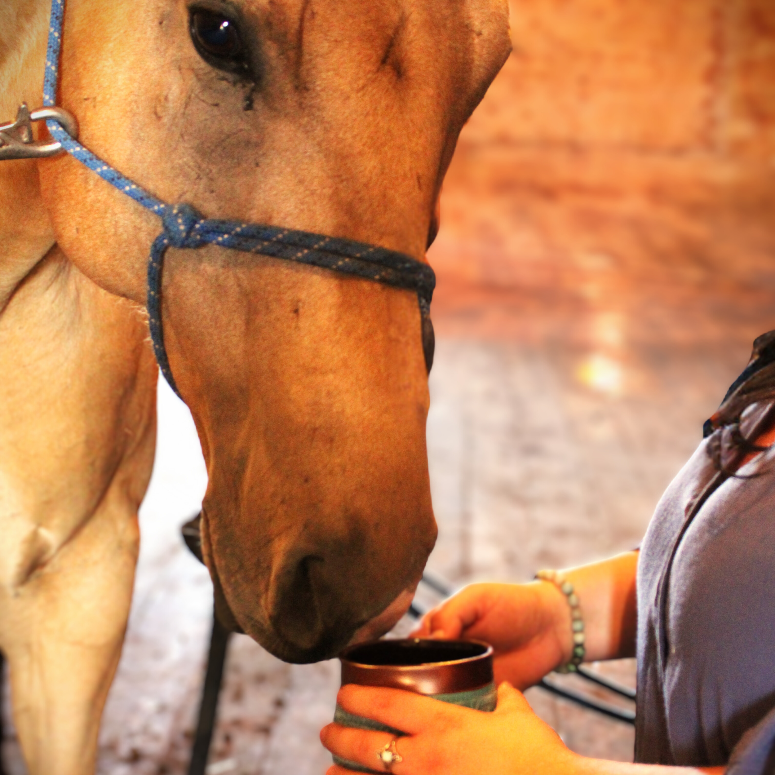 Untitled design (27).png