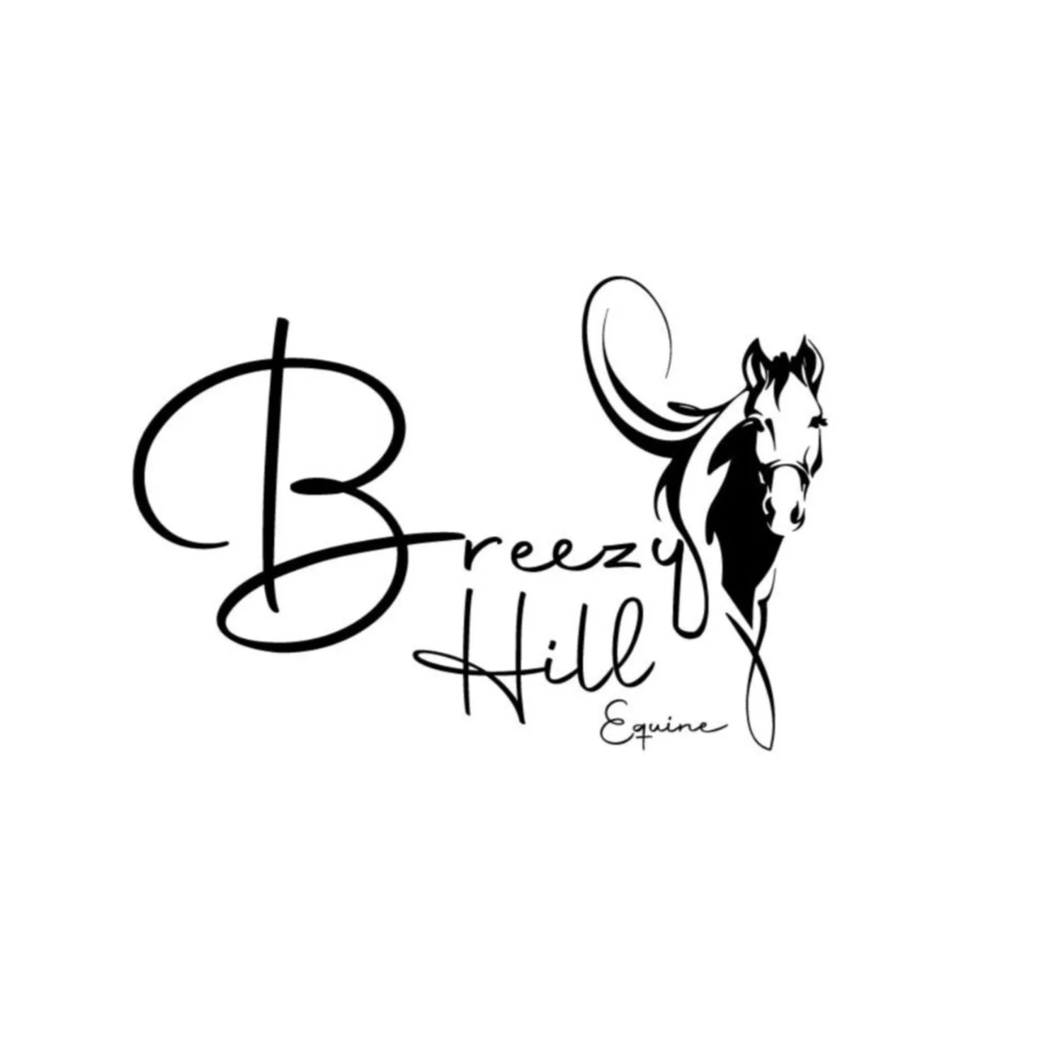 Black and white logo for Breezee Hill Equine featuring a stylized drawing of a horse's head and flowing mane with the text 'Breezee Hill' in cursive and 'Equine' in smaller script.