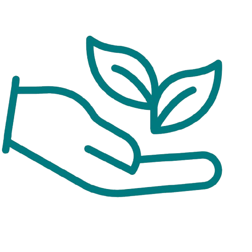 Line drawing of a hand holding a small plant with leaves.