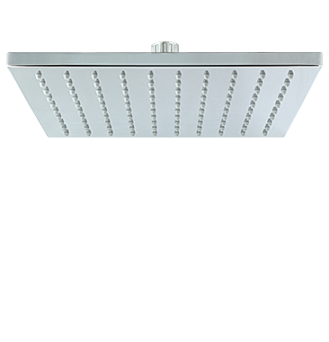 Large-Format-Dominic