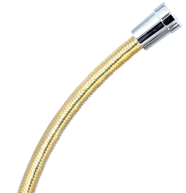 Angelwing Gold Shower Hose