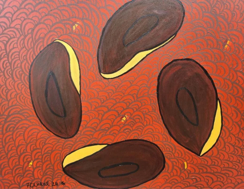 Wattle Seed pods.jpg