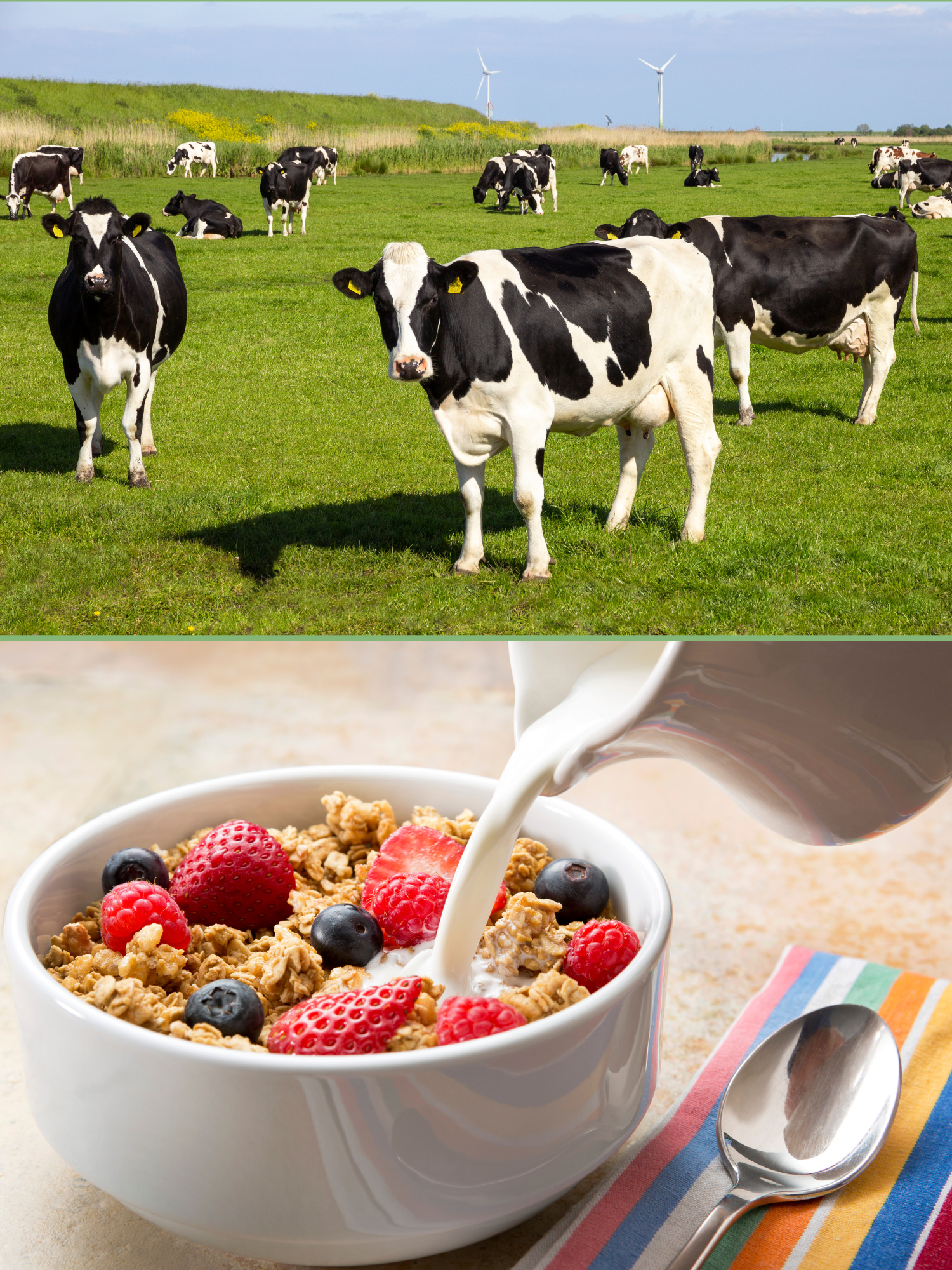 Milk Secondary.png