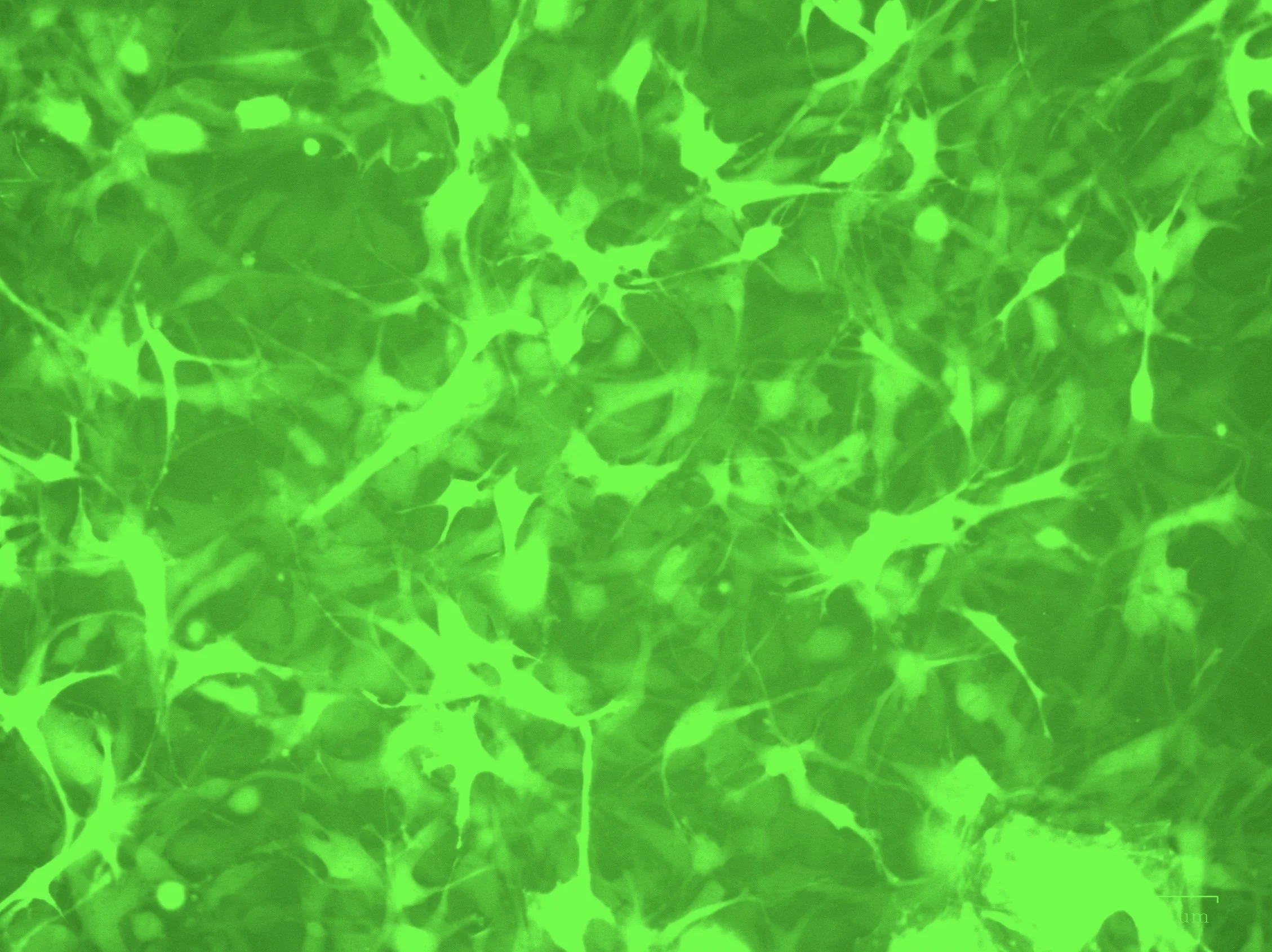 983834B8-1CE2-4060-95F7-DB762DCCBFC0.jpeg
