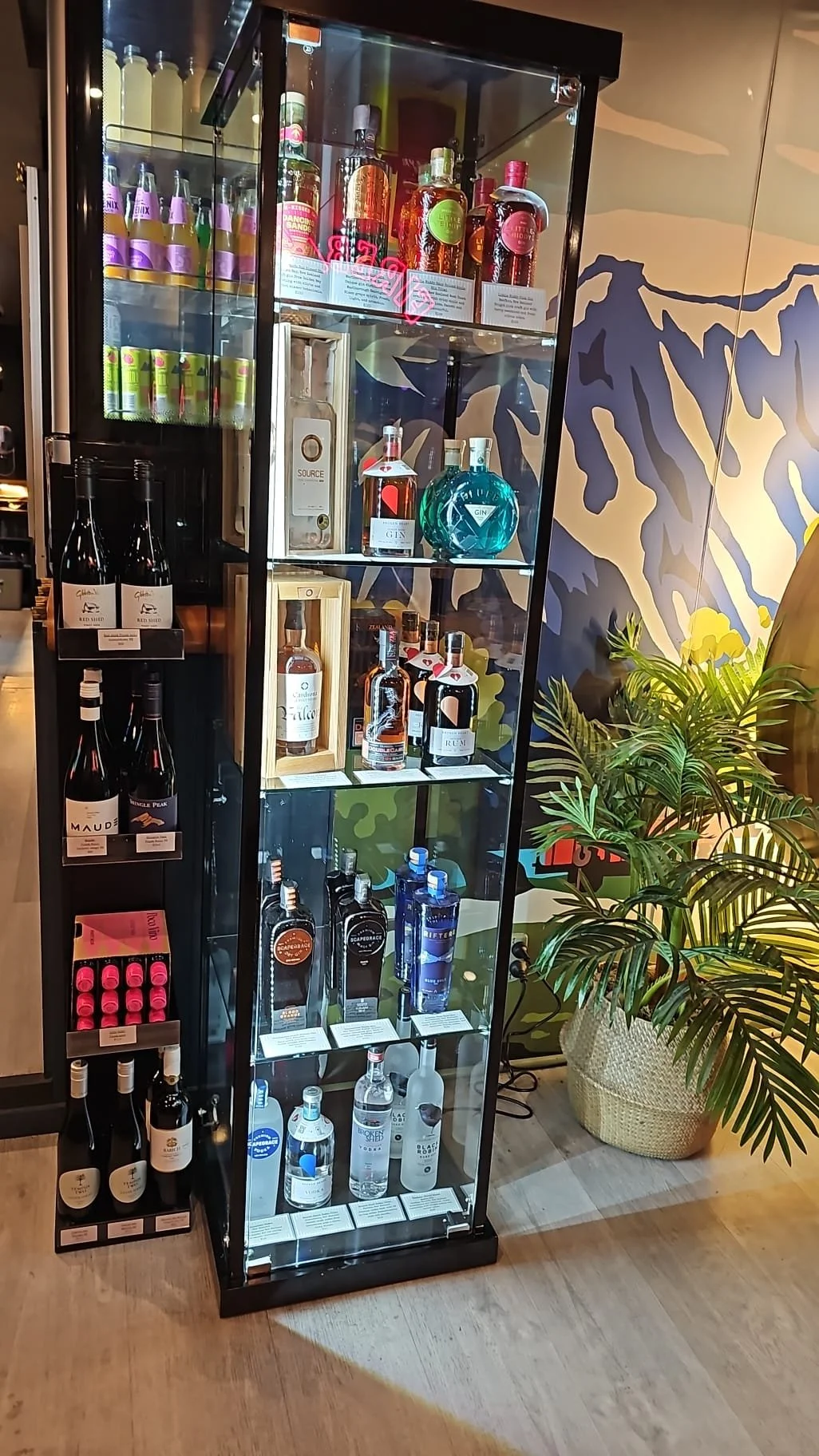 WhatsApp Image 2026-03-16 at 8.22.06 PM.jpeg