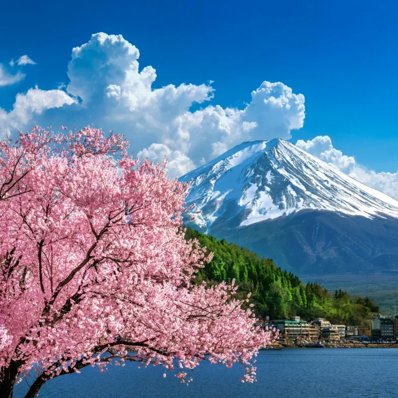 How Much Is a Trip to Japan? Average Costs Explained