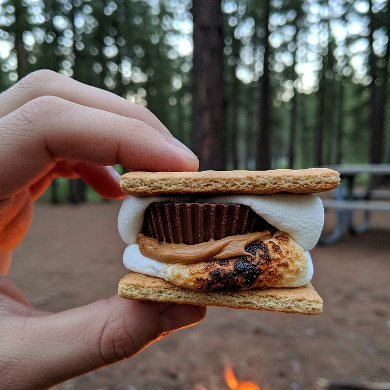 S'mores Ideas for Camping