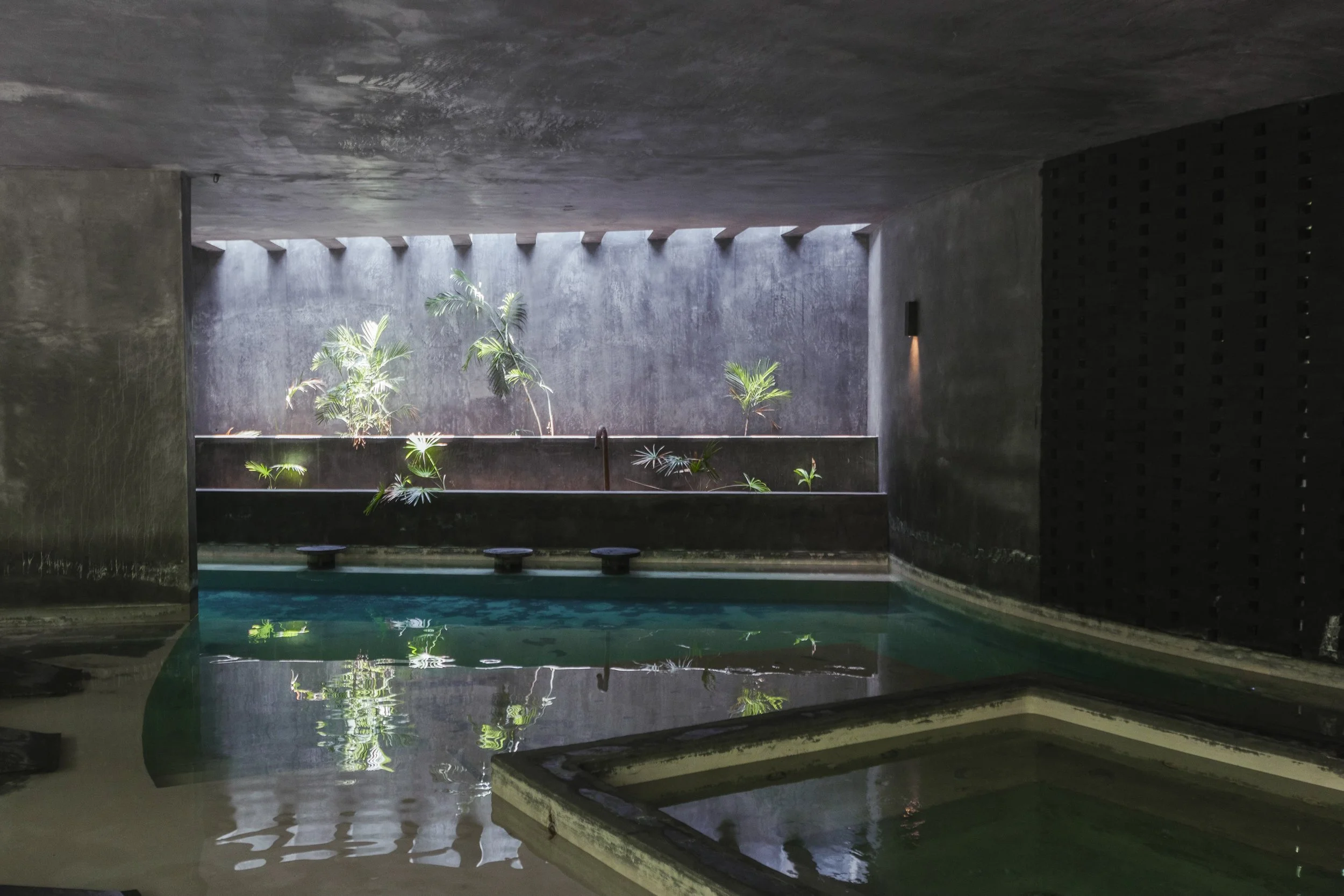 Indoor infinity pool with dark walls and a water feature with plants, illuminated by natural light from above.