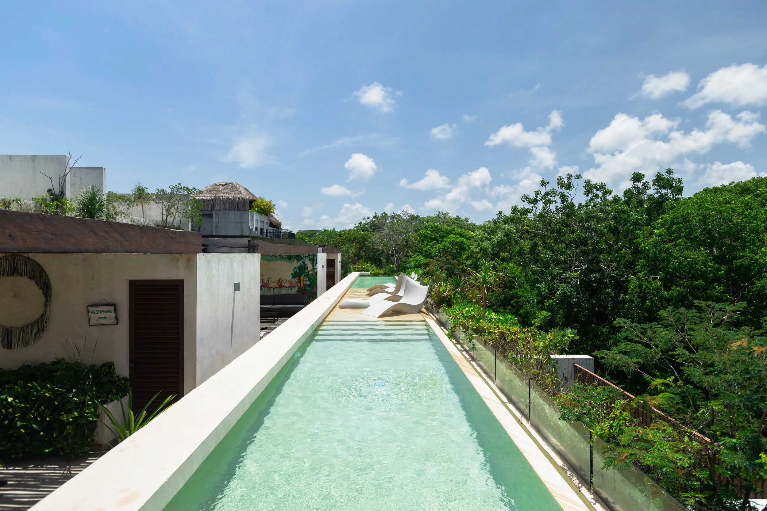Rooftop infinity pool overlooking lush green trees under a partly cloudy blue sky, with lounge chairs placed along the pool's edge.