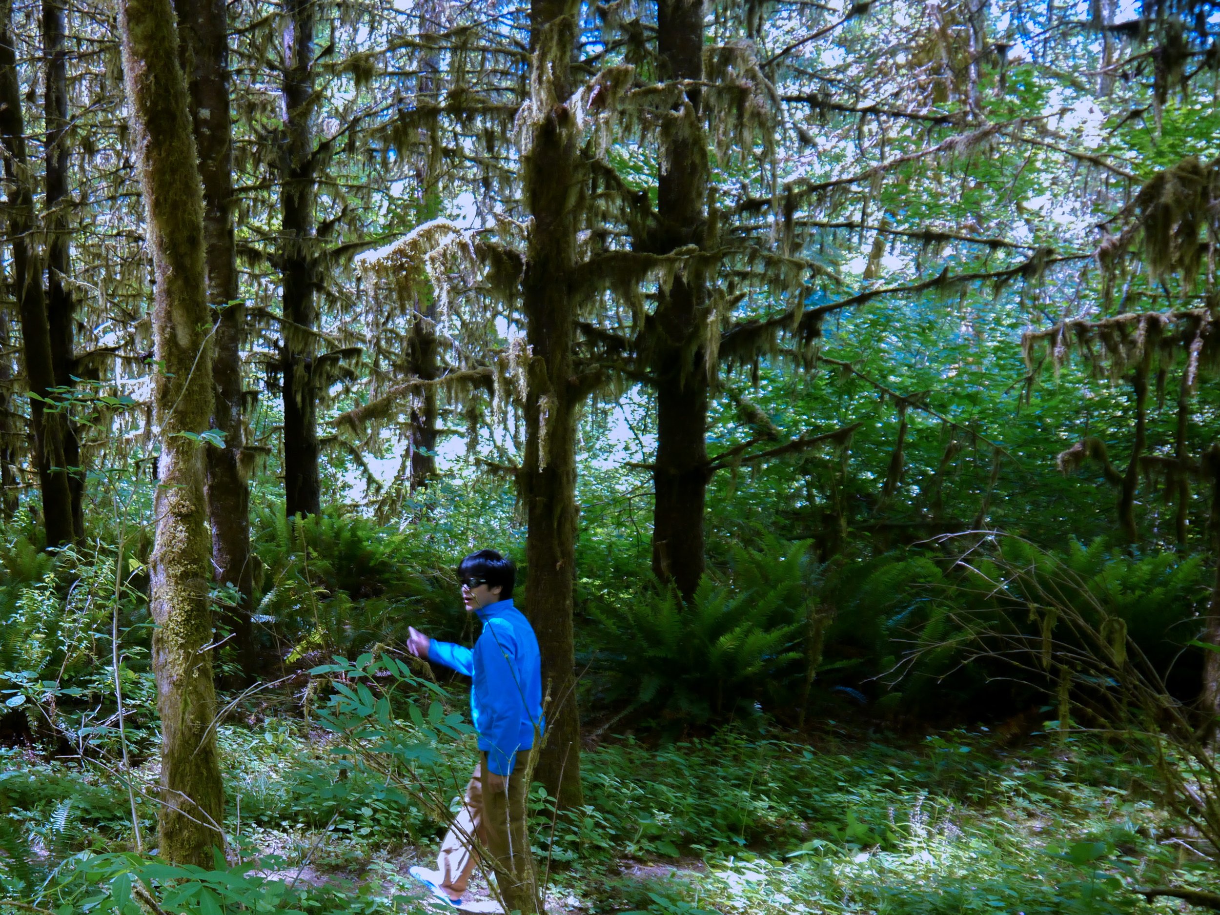 softshell-11.jpg
