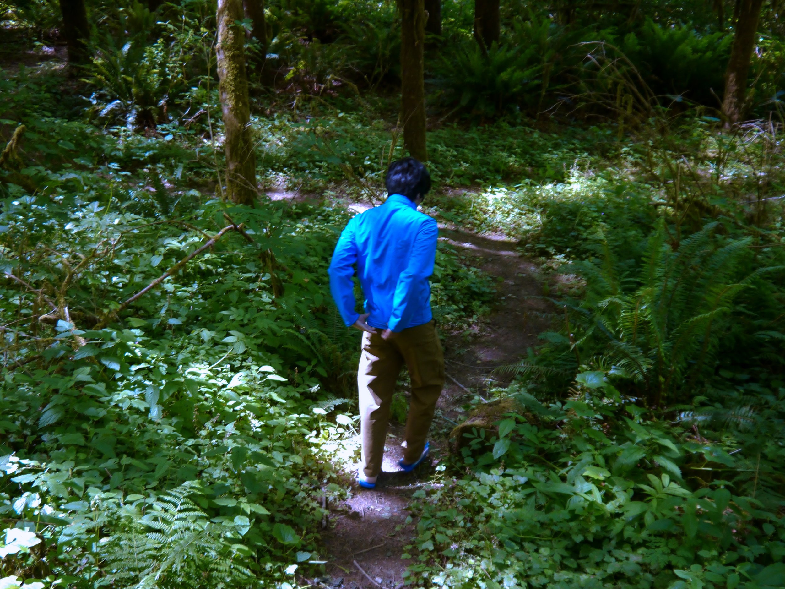 softshell-10.jpg