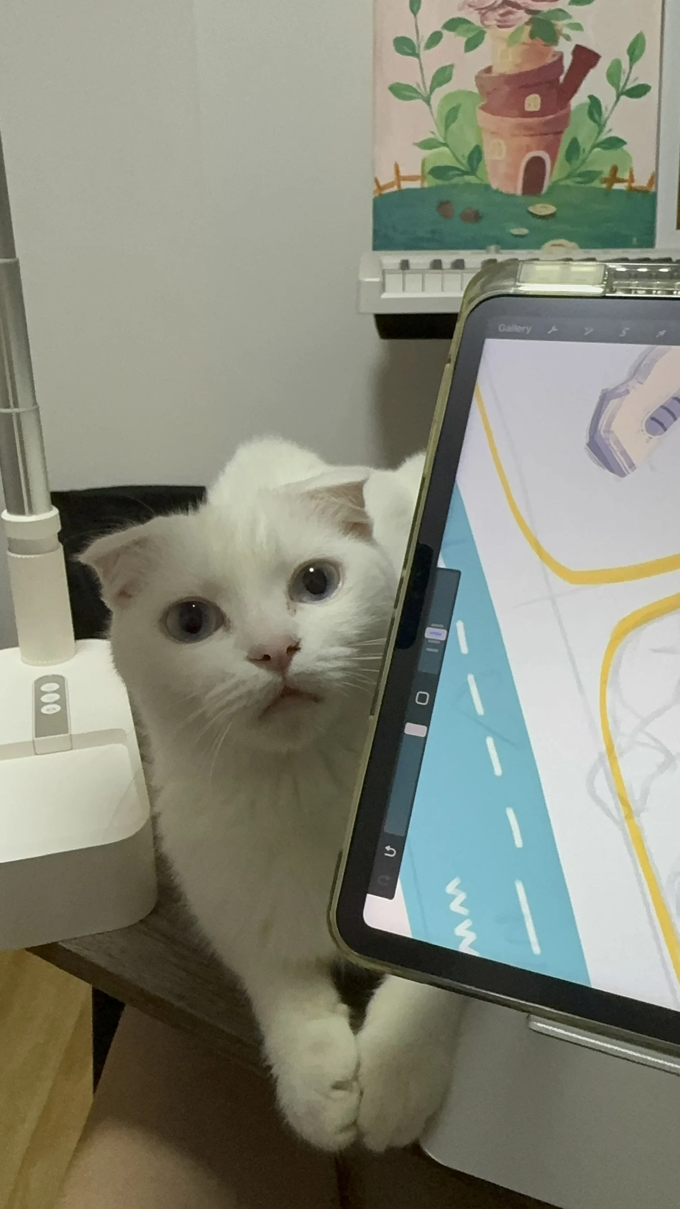 A white cat with blue eyes peeking out from behind a tablet on a table. There is a colorful painting of a potted plant and a small house in the background.