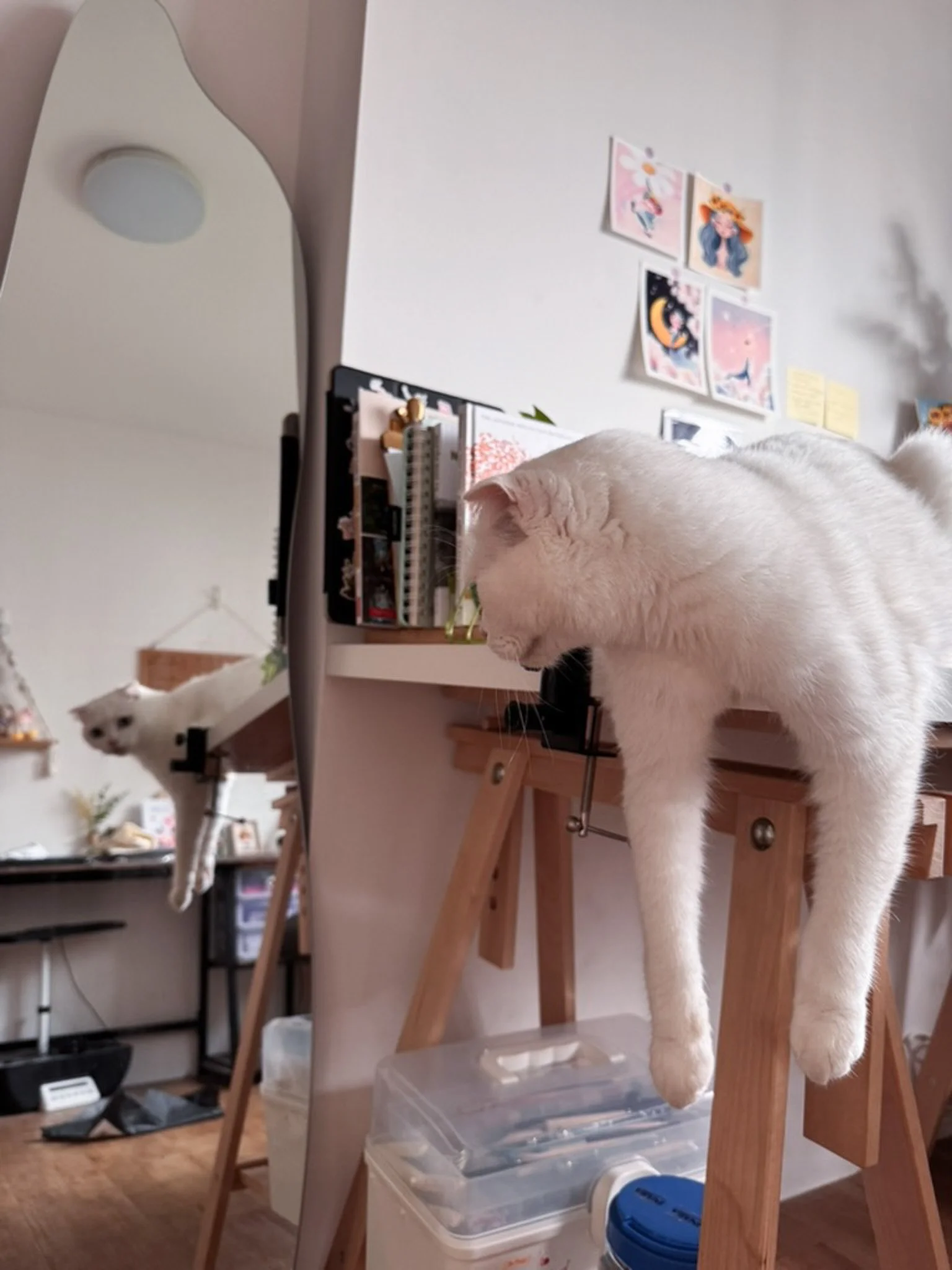 A white cat hanging upside down from a mirror, which is leaning against a wall in a room with various decorations and furniture.