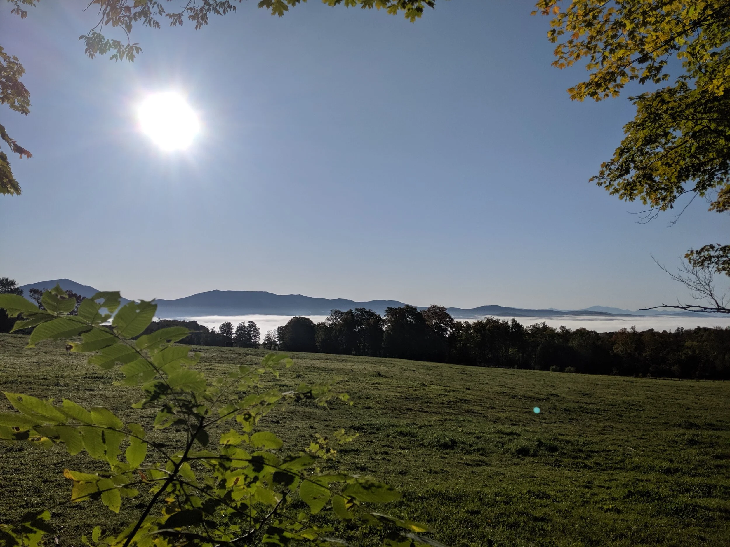 IMG_20190919_081646.jpg