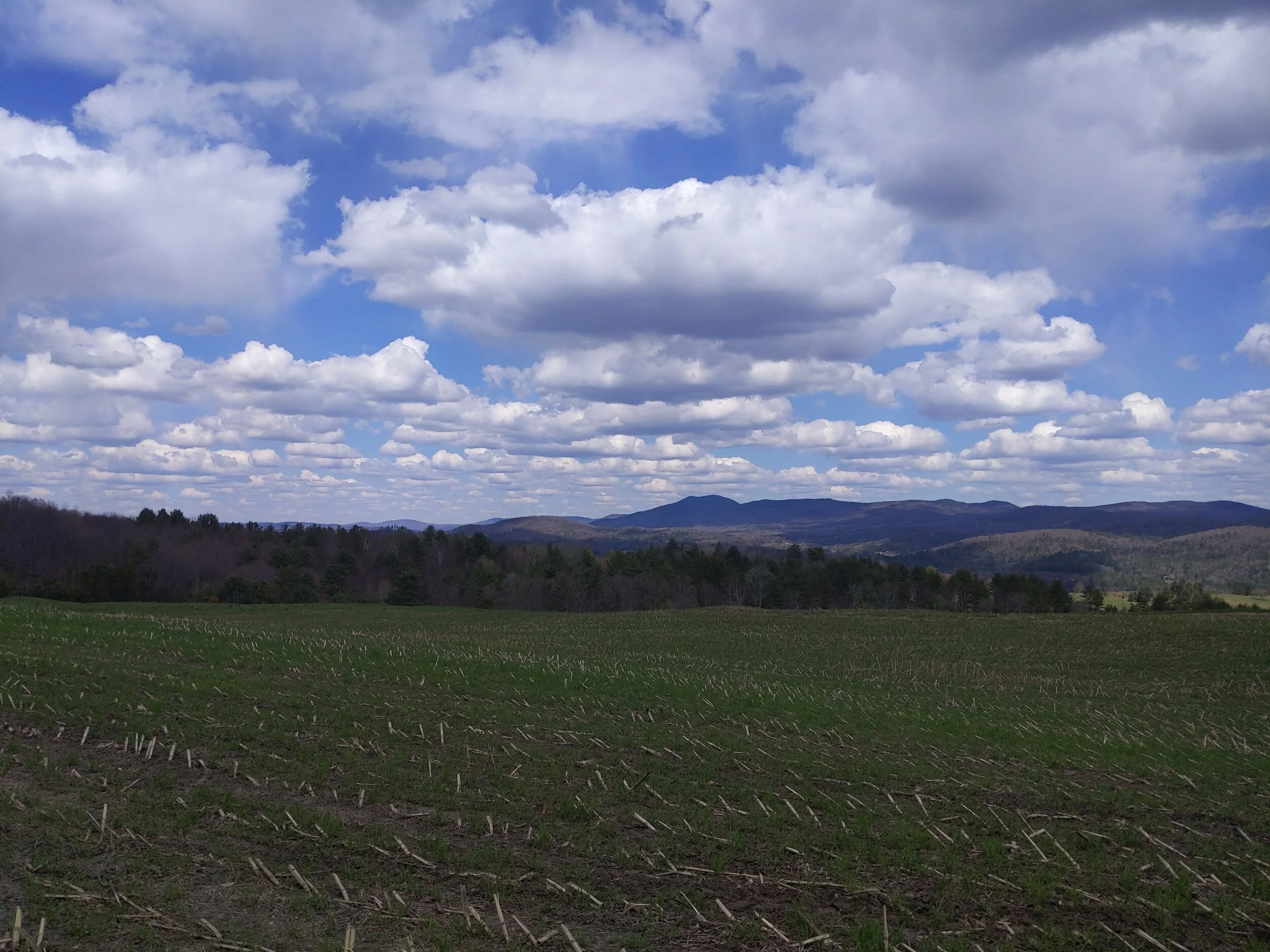 Quick &amp; Dirty