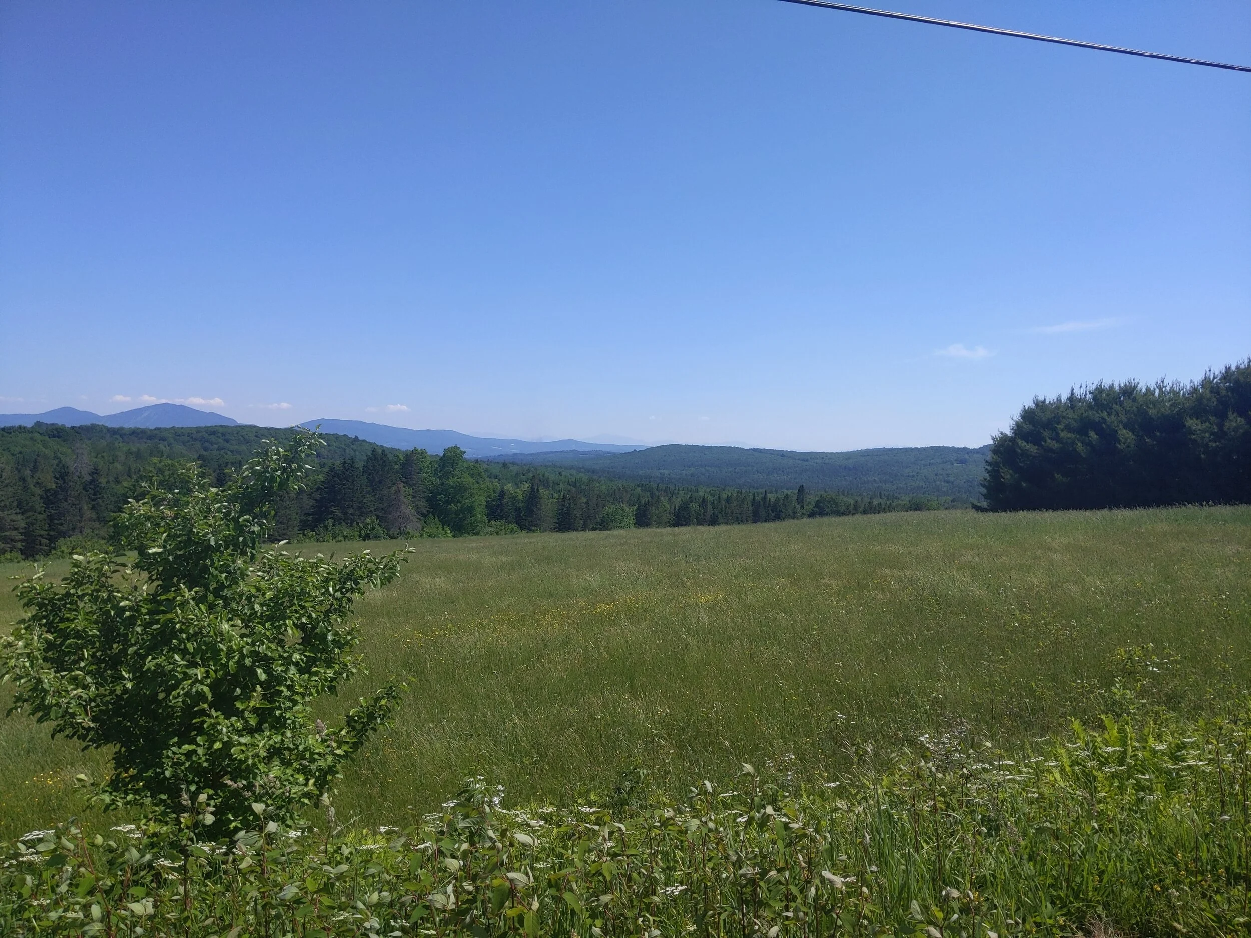 IMG_20200618_144333 (1).jpg
