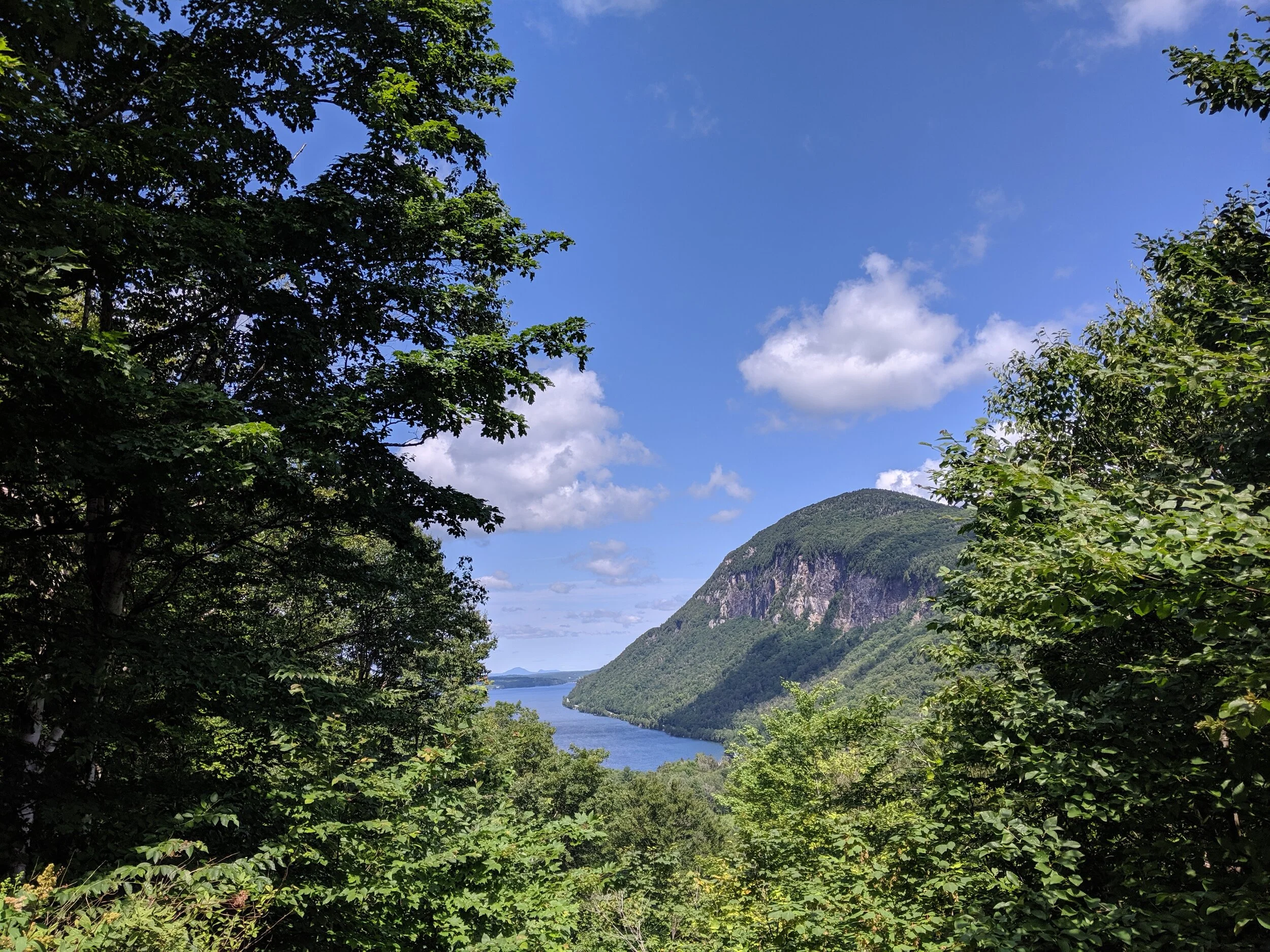 IMG_20190804_114618.jpg