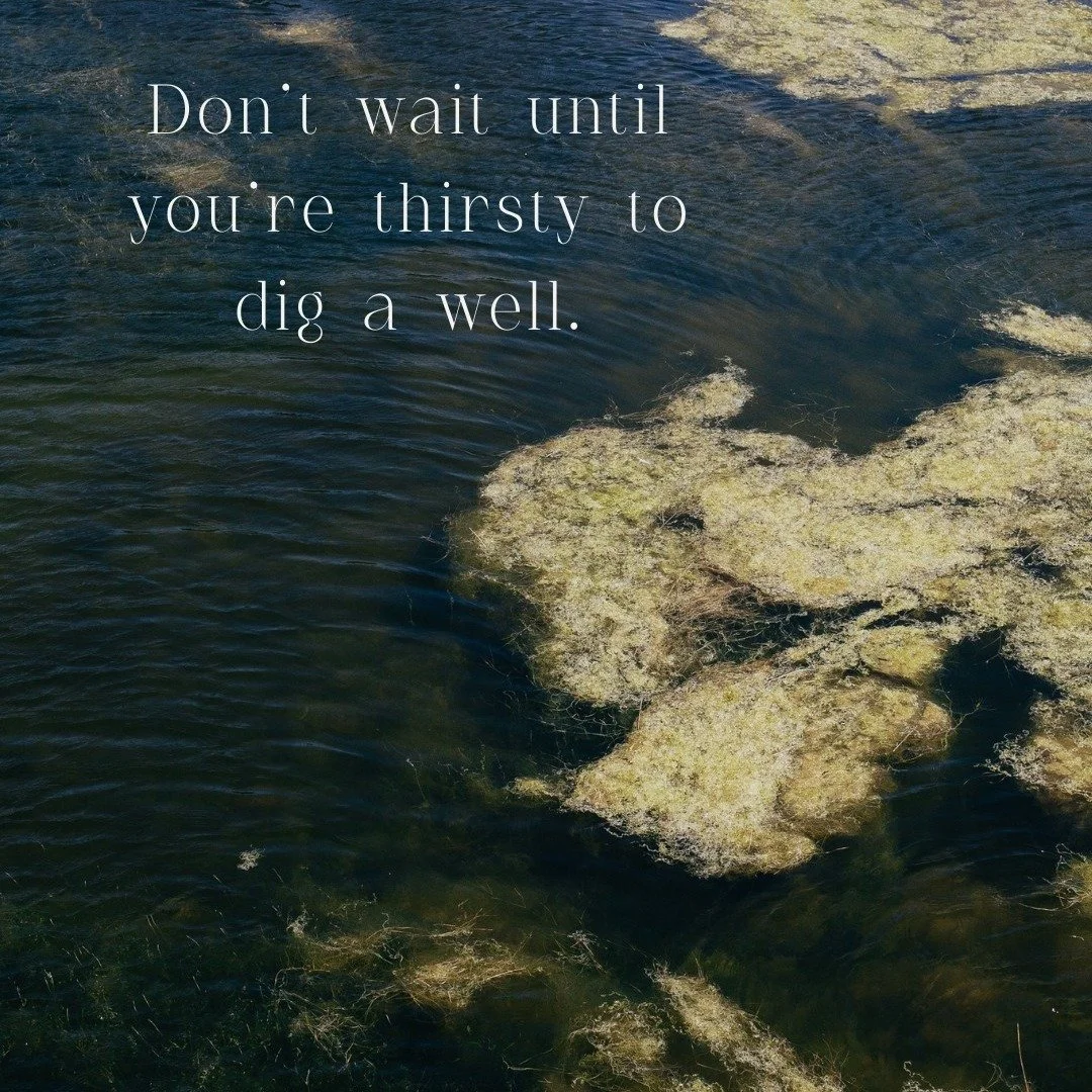 ～ Don&rsquo;t wait until you&rsquo;re thirsty to dig a well. ～

In Chinese Medicine, this ancient proverb isn't just about water&mdash;it&rsquo;s a powerful metaphor for how we approach health.

In the West, we are often conditioned to wait for a cri