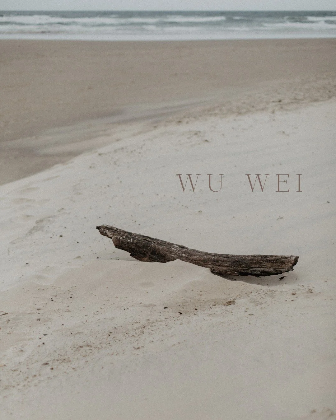 Driftwood doesn't fight the ocean. It surrenders to the current, and eventually, it finds the shore. 

This is Wu Wei ～ the art of effortless doing. It's the core of how we approach acupuncture. We're not forcing your body to change or screaming at m